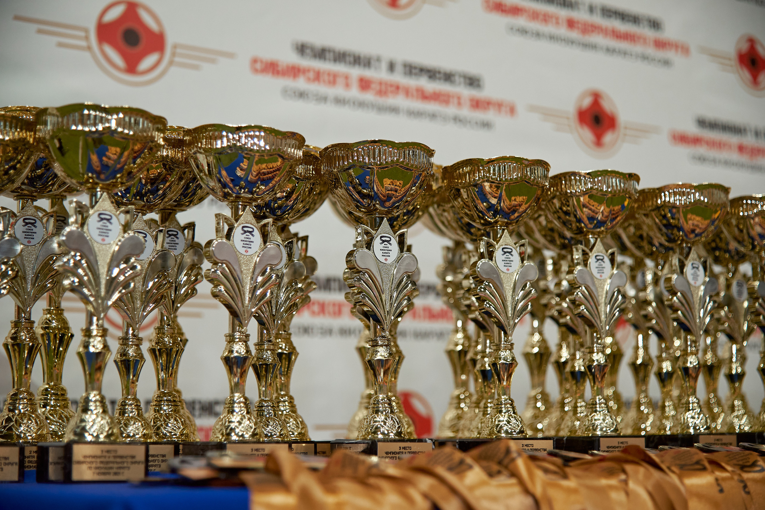 Чемпионат КИОКУШИН каратэ России. Фотограф Опыт Качество Скорость Горный Алтай Барнаул