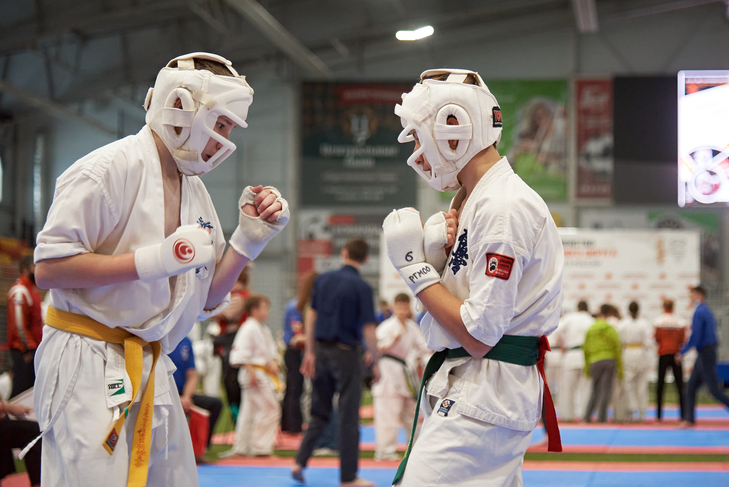 Чемпионат КИОКУШИН каратэ России. Фотограф Опыт Качество Скорость Горный Алтай Барнаул