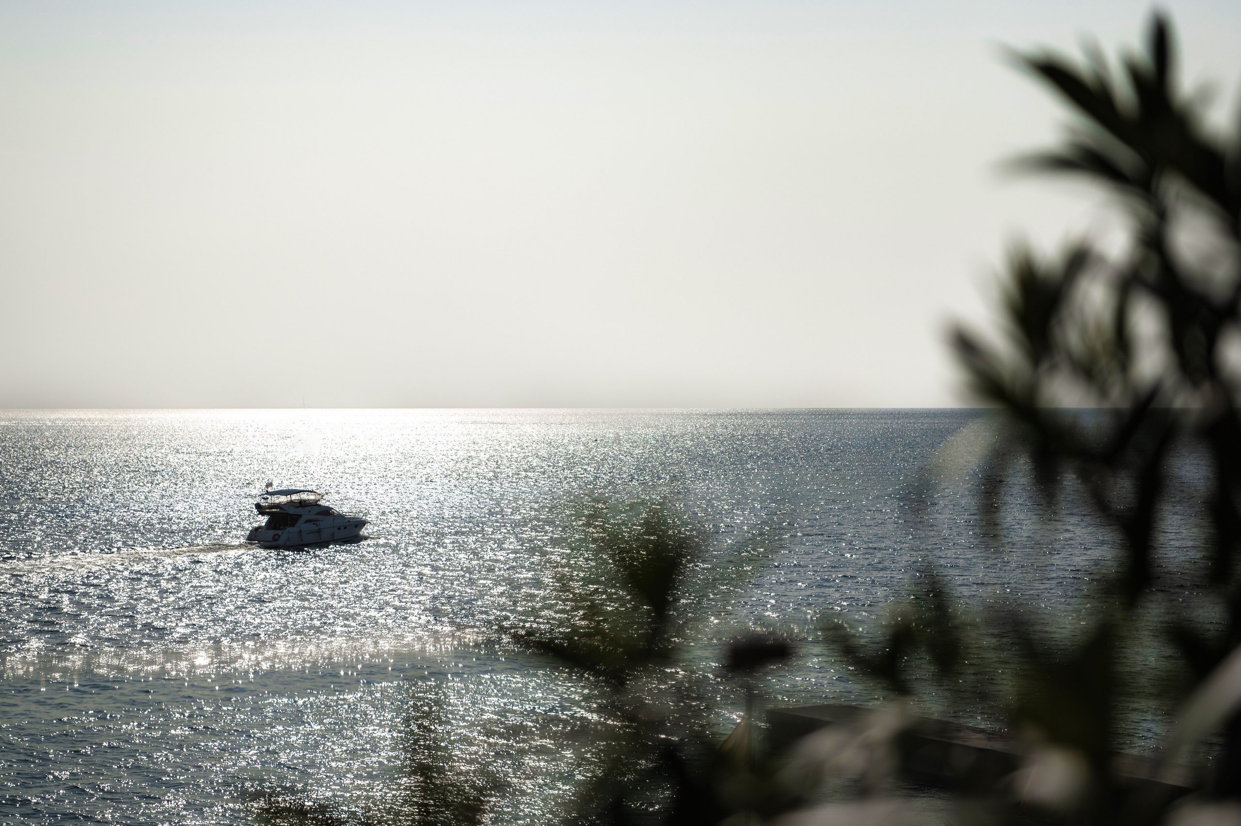 О тебе поёт море. Свадебный фотограф Ростов-на- Дону, Краснодар, Москва