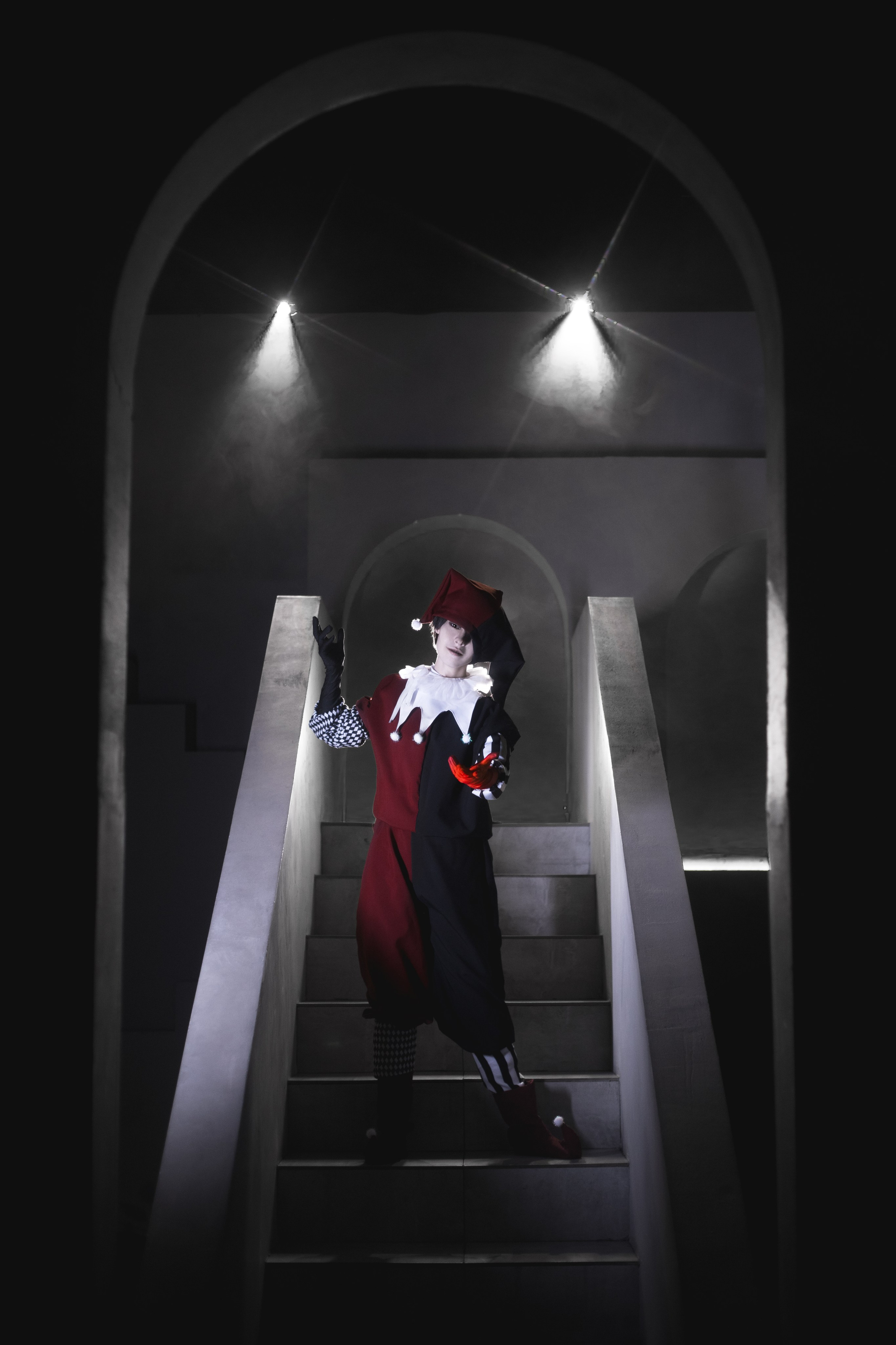Queen and Jester: Jester. Polaroud love