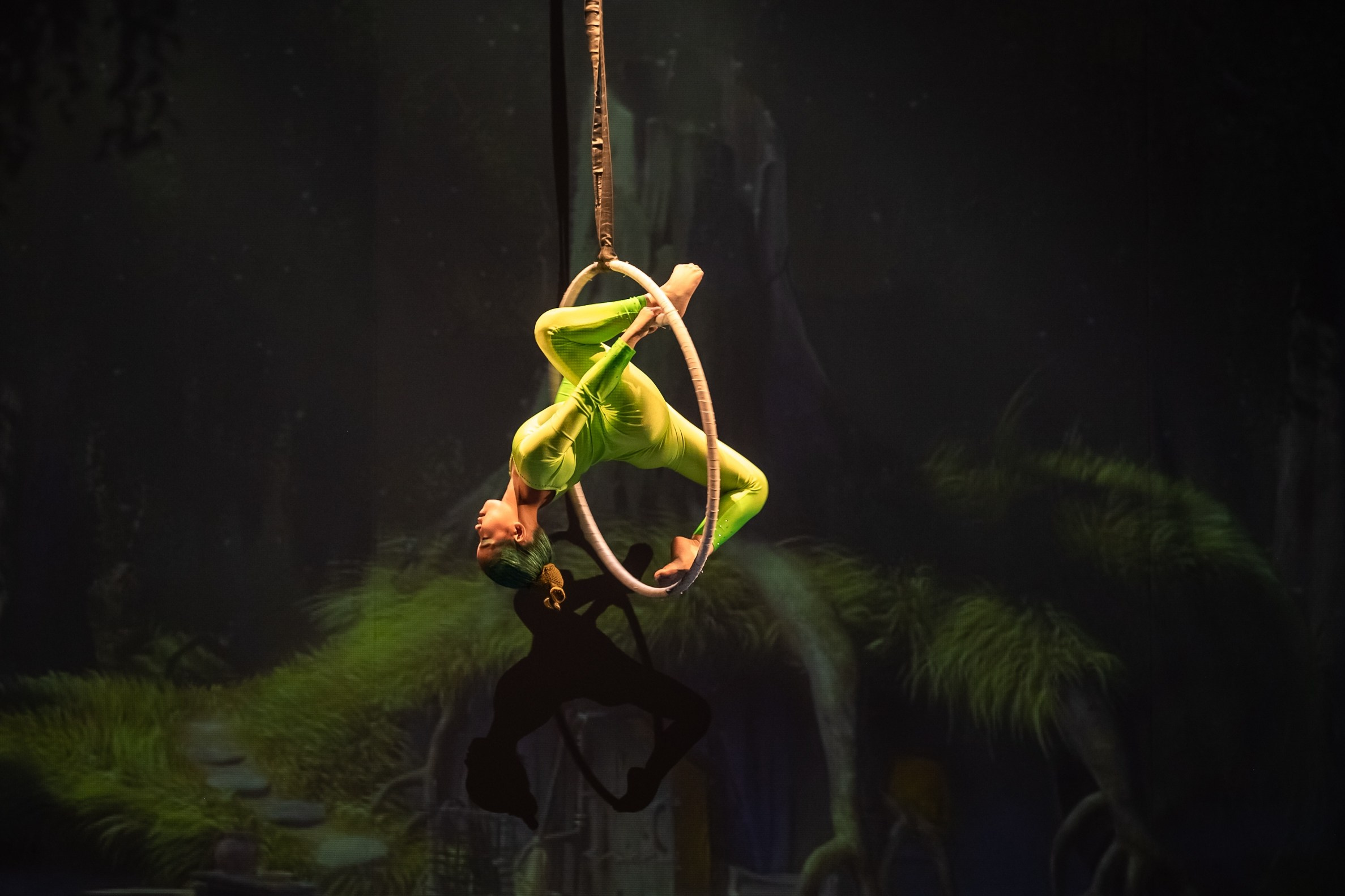 Отчетное выступление студии воздушной гимнастики Sport Evolution. Свадебный и семейный фотограф София Невская