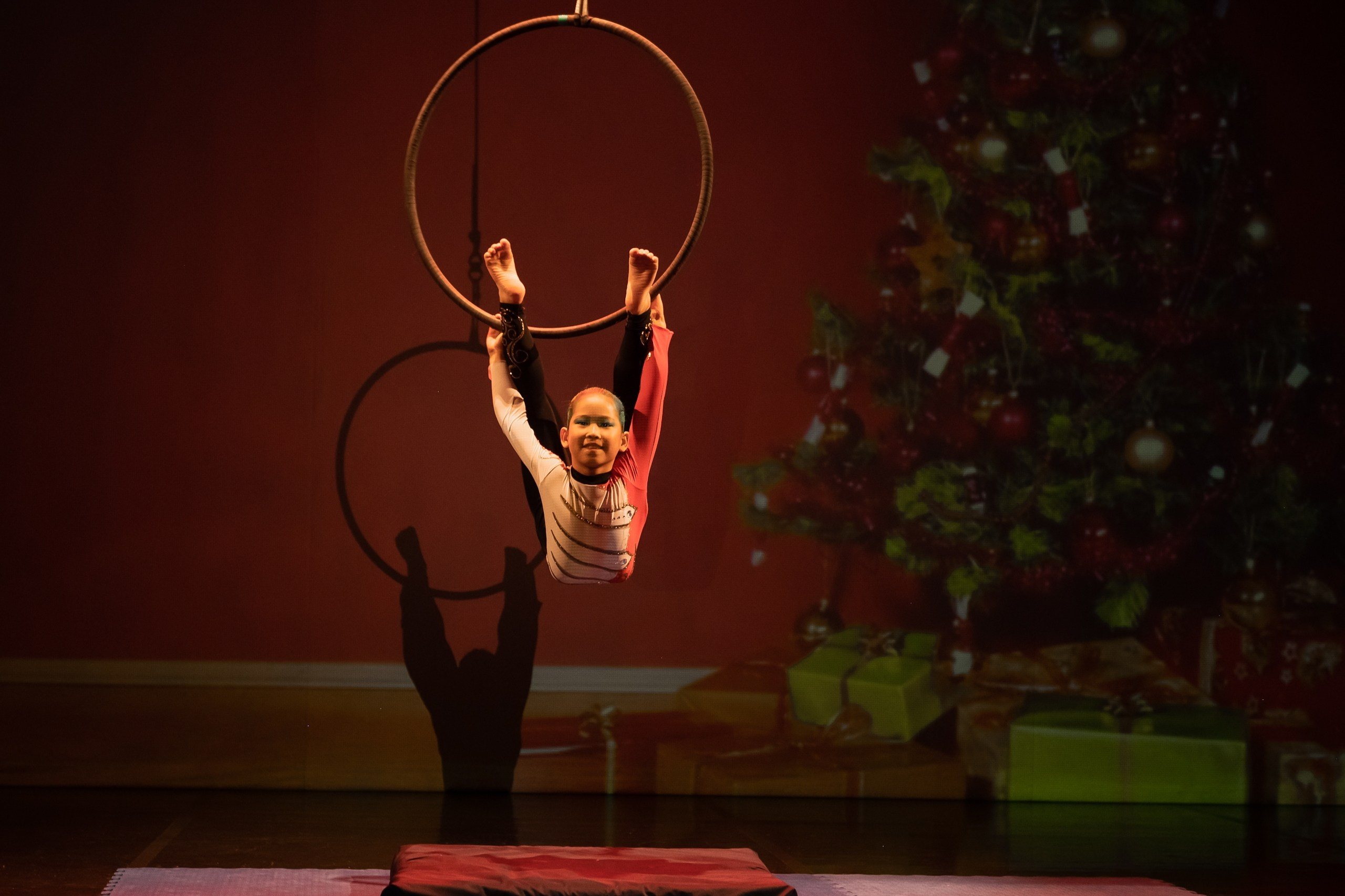 Отчетное выступление студии воздушной гимнастики Sport Evolution. Свадебный и семейный фотограф София Невская