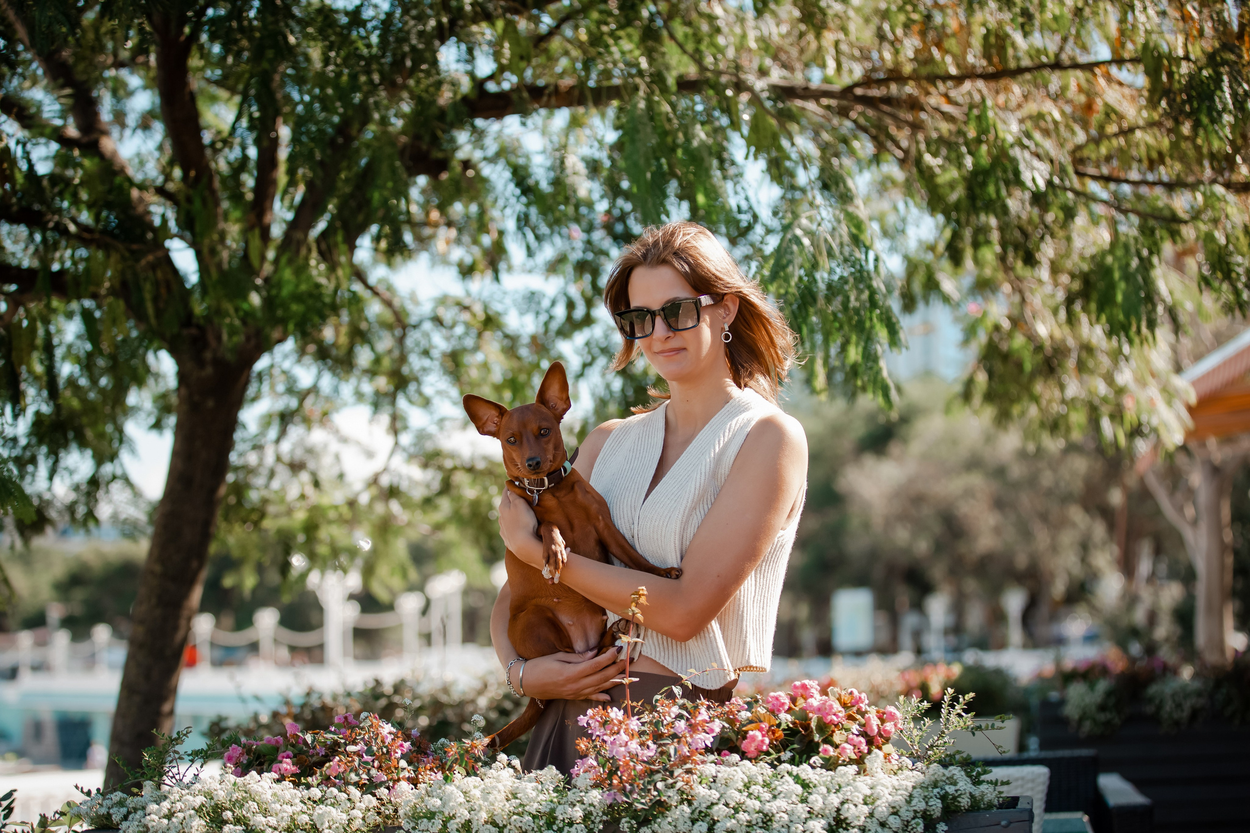 Цвергпинчер в Геленджике. Фотограф-анималист в Краснодаре Маша Мельникова