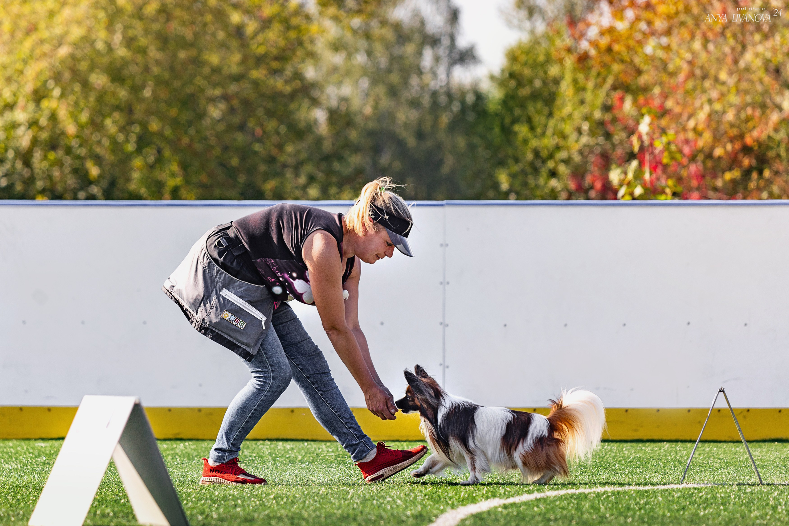 Ралли обидиенс. Фотограф анималист Аня Ливанова | Рыбинск