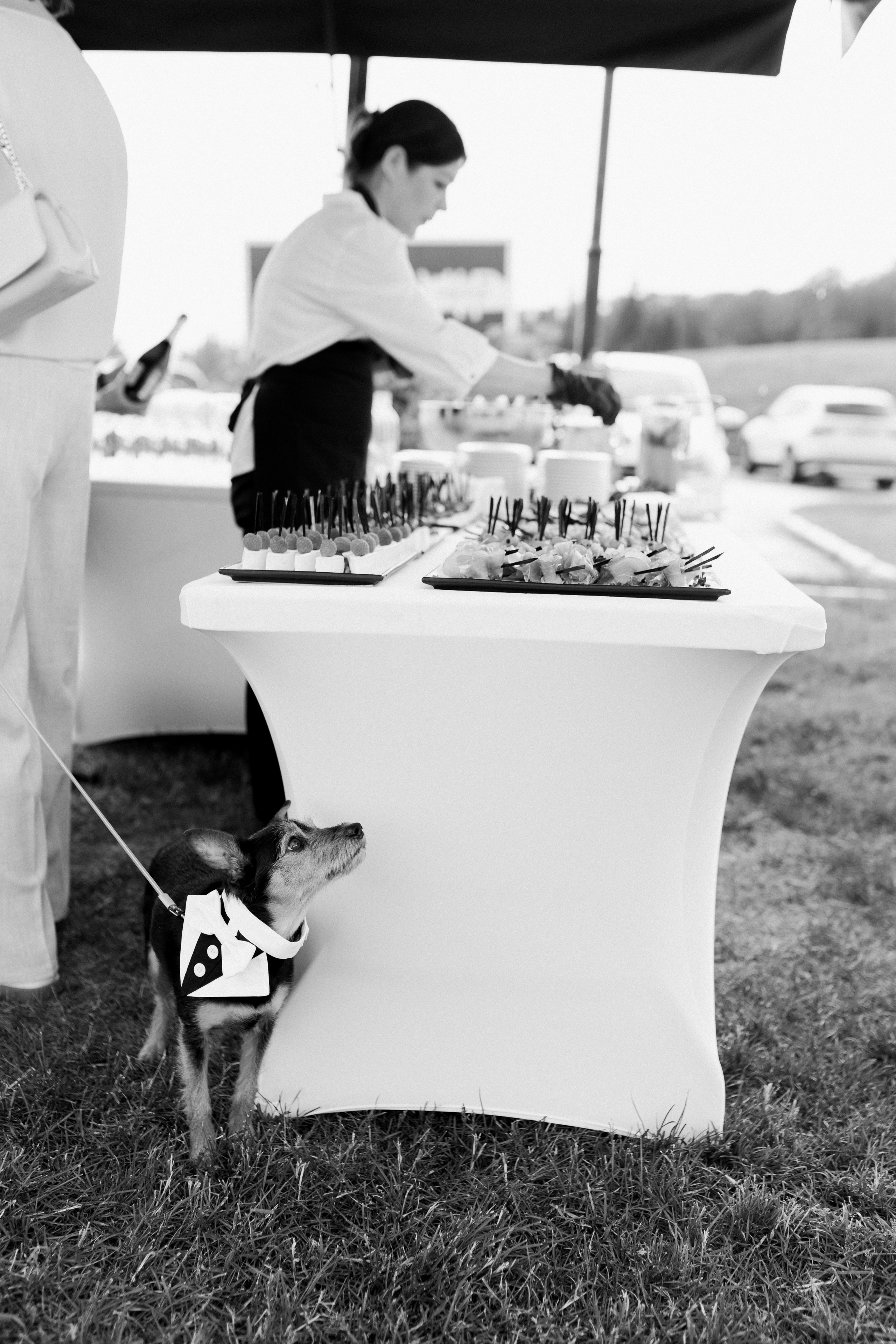 Maria&Andrey. Свадебный фотограф в Москве Дмитрий Тарасов