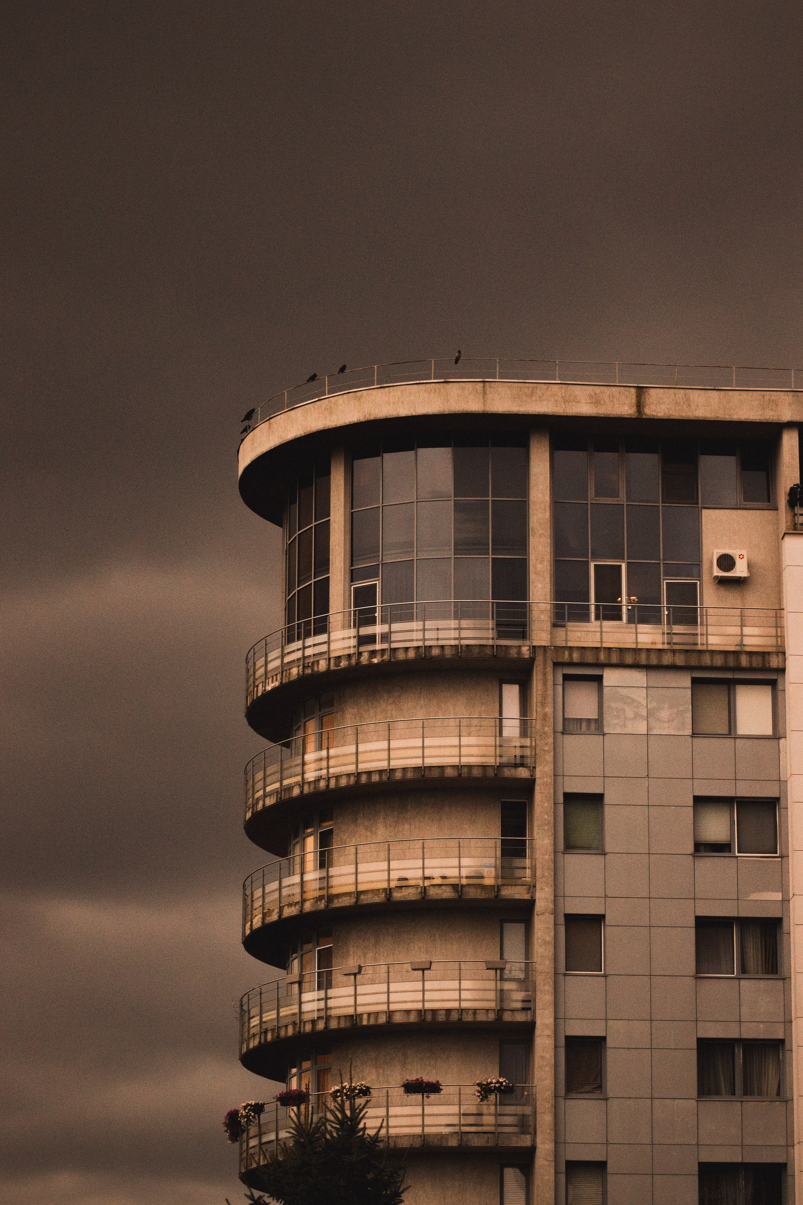 С Е П И Я. — Digital Noise —