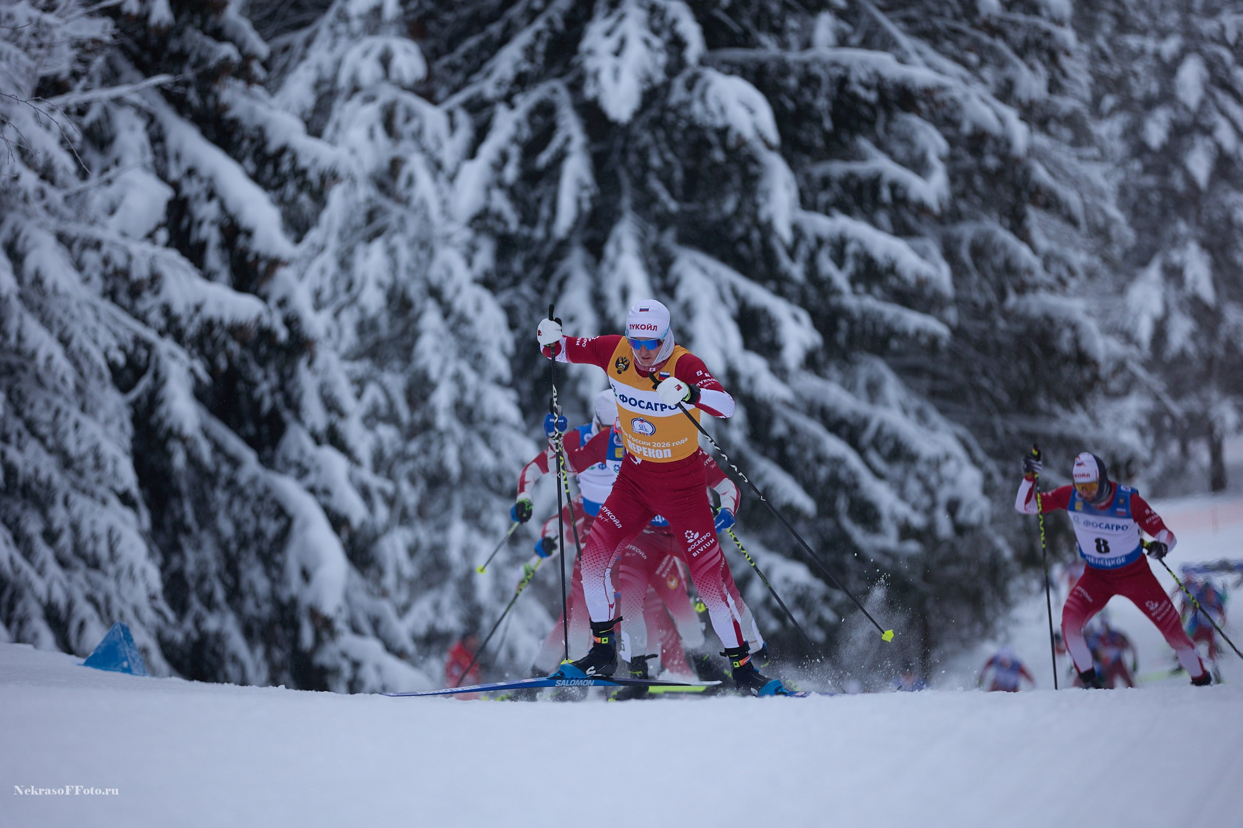 Кубок России по Лыжным гонкам. Спортивный фотограф Некрасов Денис