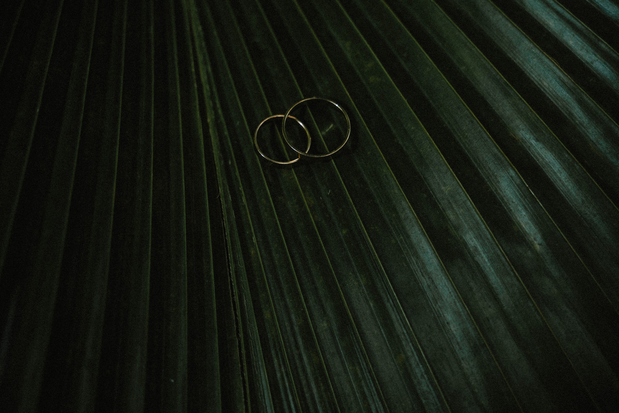 Wedding day #87. Свадебный, семейный фотограф в Рязани Лена Брант