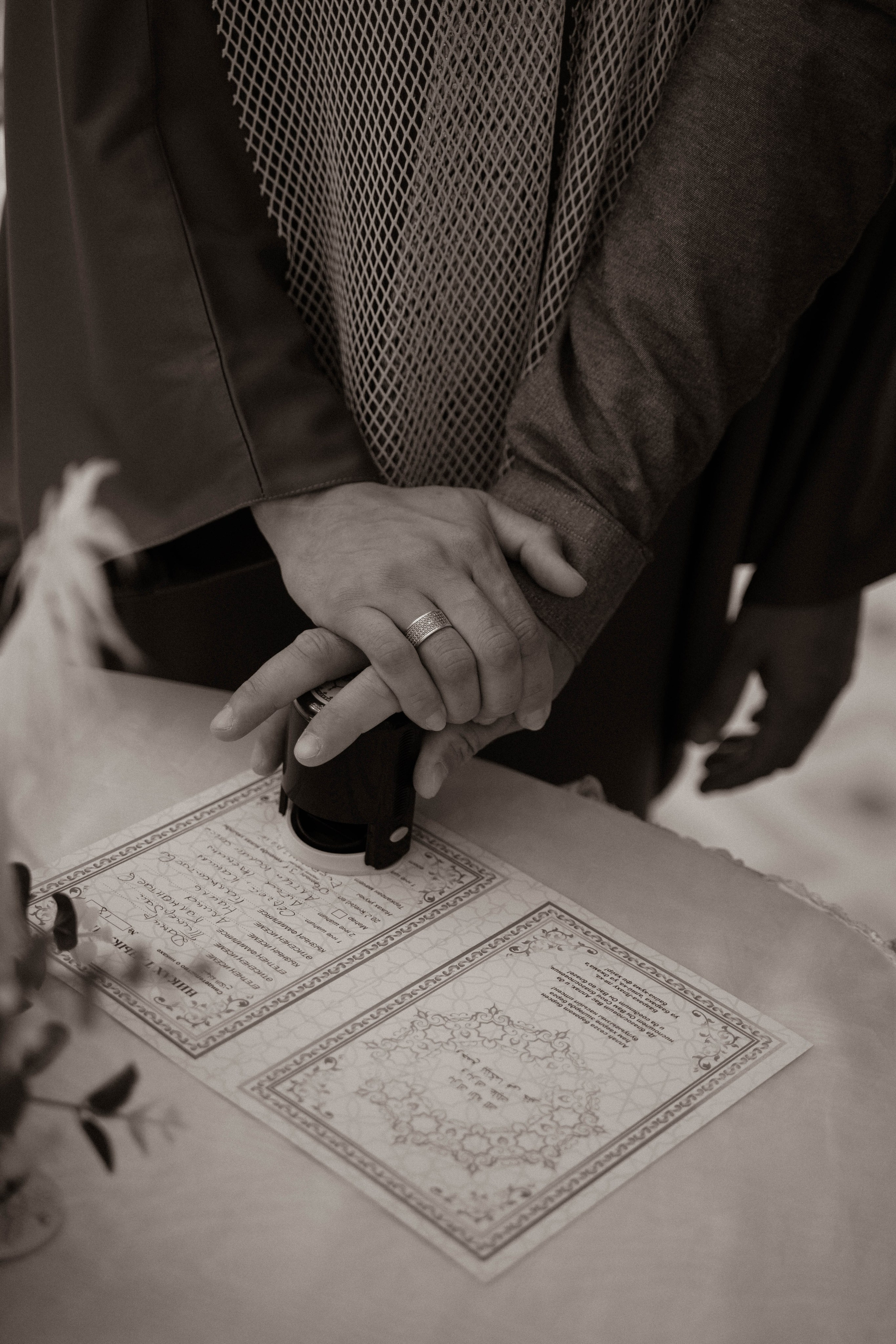 Дамир и Алина