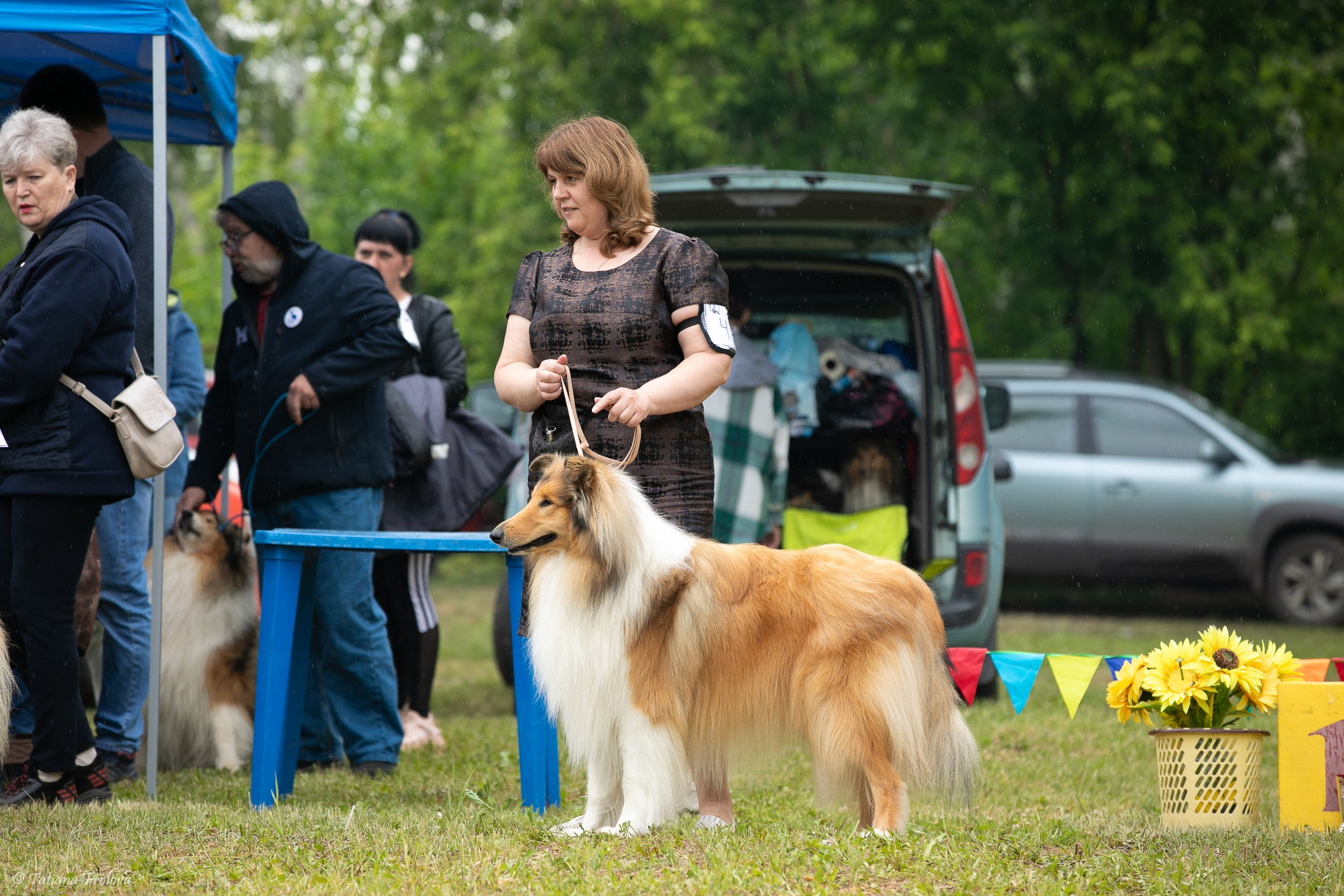 Фотосопровождение выставки собак в Московской области и Москве. Фотограф-анималист в Москве и Московской области Татьяна Фролова