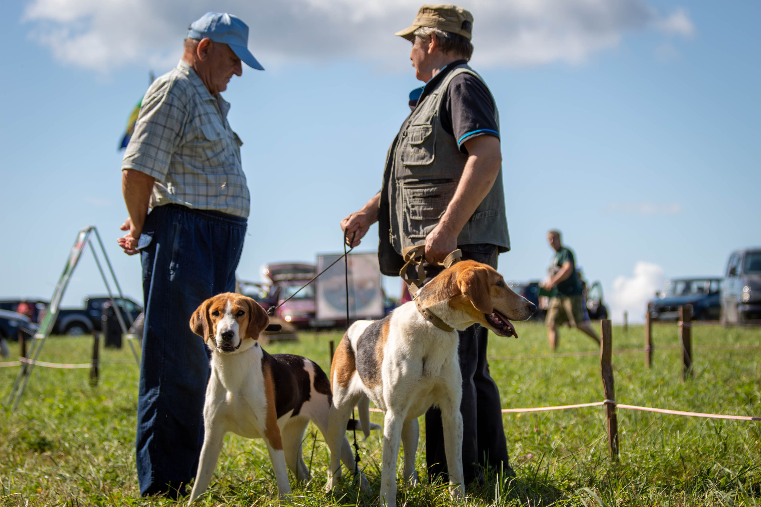 Репортажная съемка в Туле. Фотограф анималист — Тула, Москва
