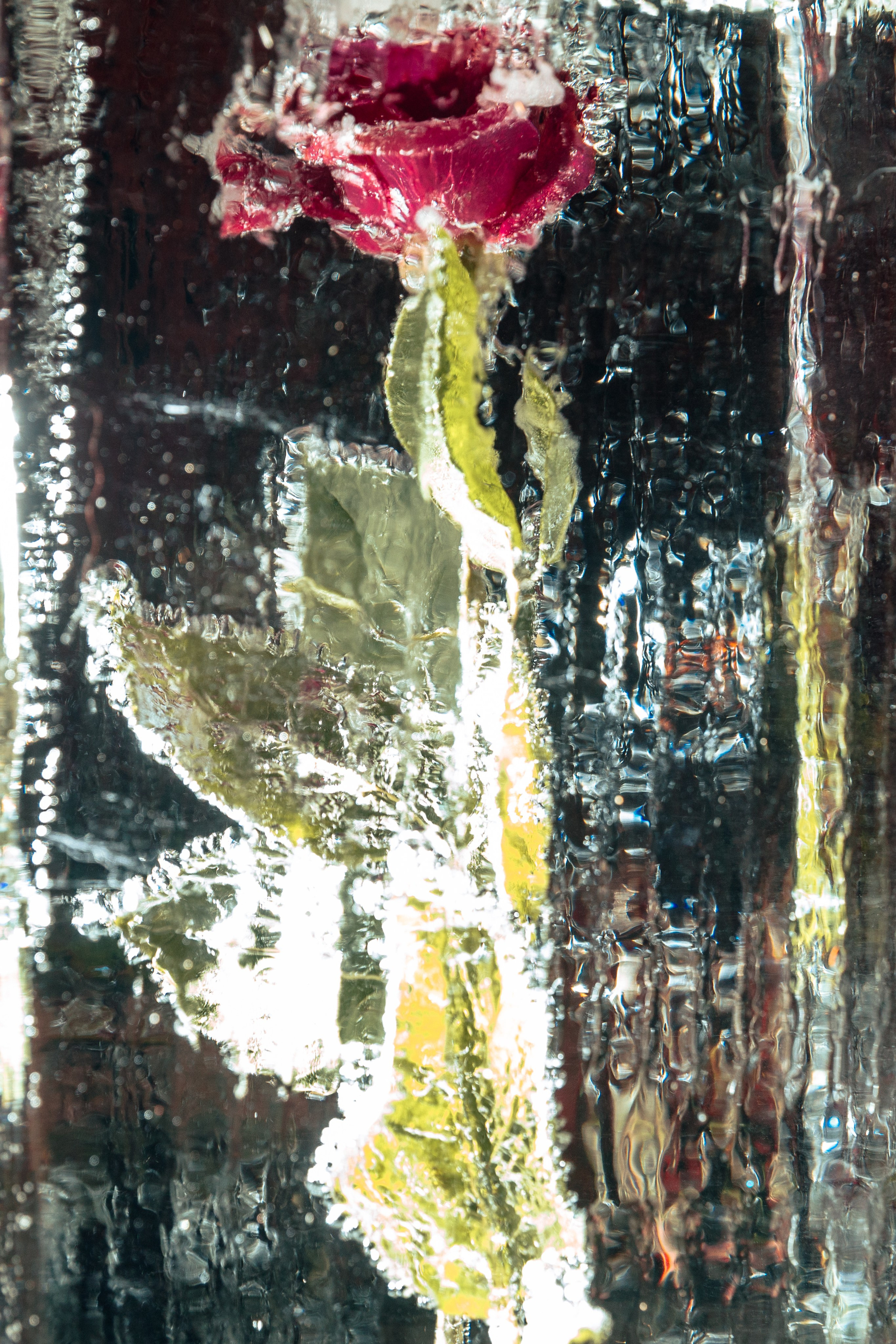 Red ball. Свадебный фотограф в Санкт-Петербурге и Москве Андрей Чернов