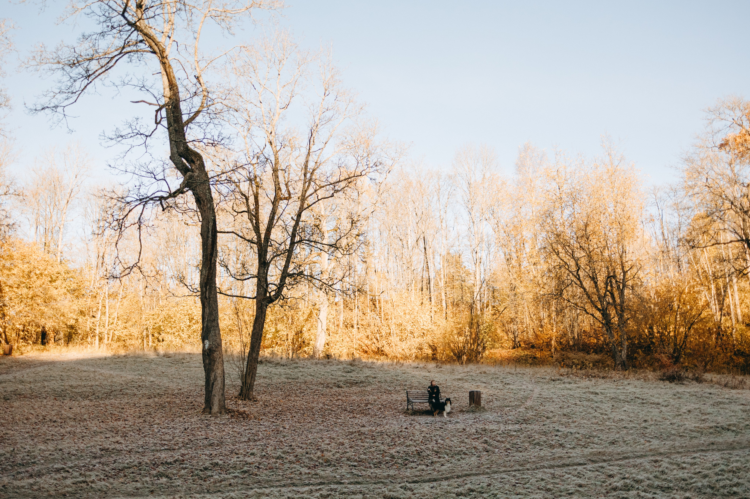 Ия и Барт. Фотограф — Анималист | Санкт-Петербург