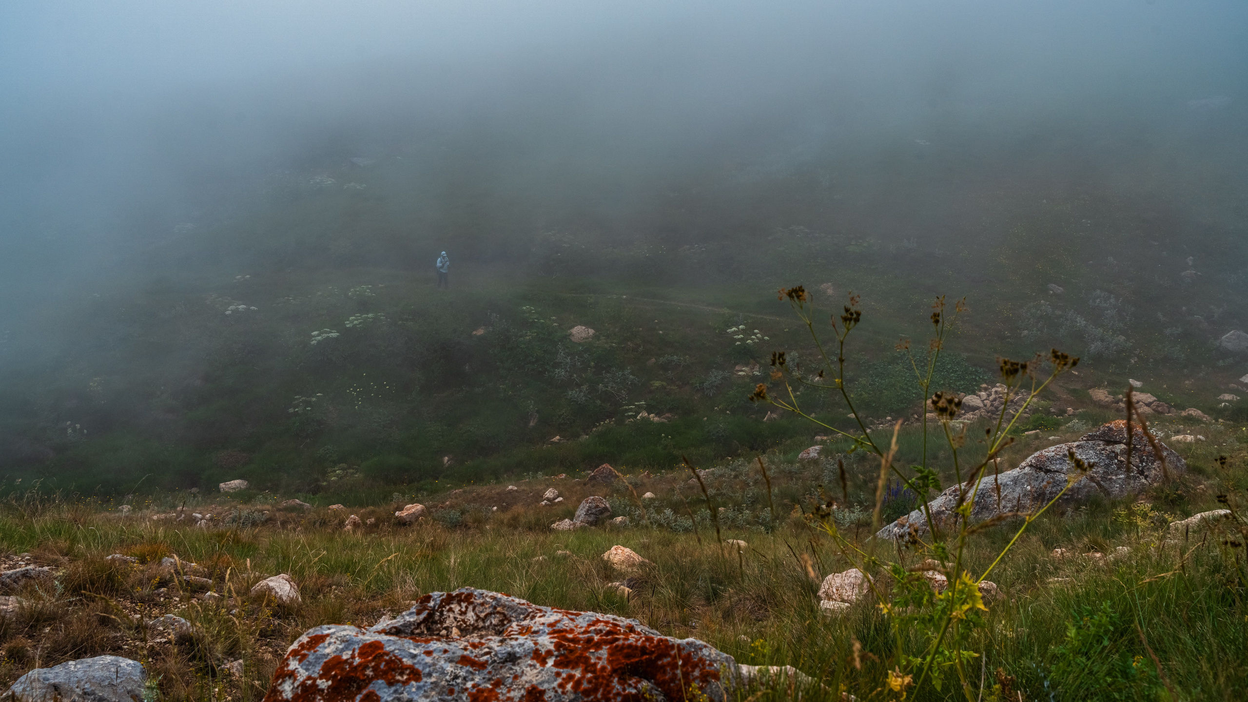 Дагестан. Фотограф в Москве. Шахабудин