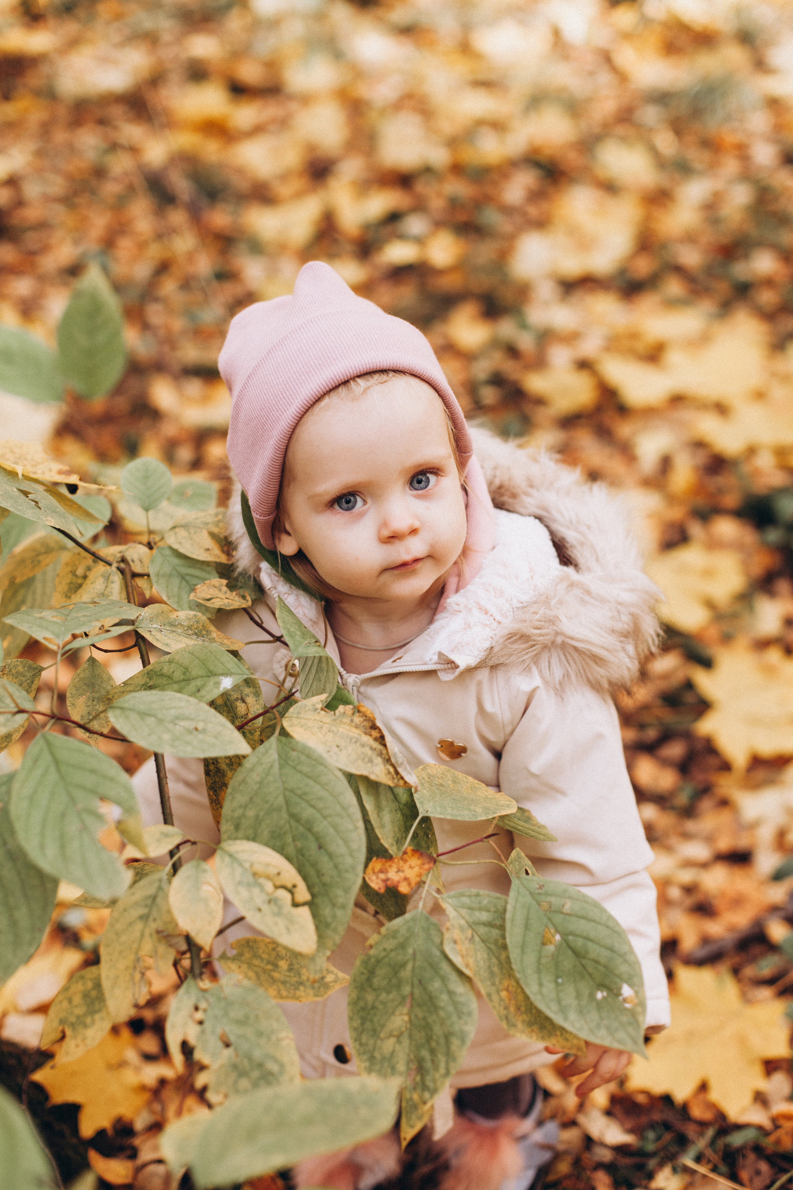 Отзывы. Портретный фотограф в Москве