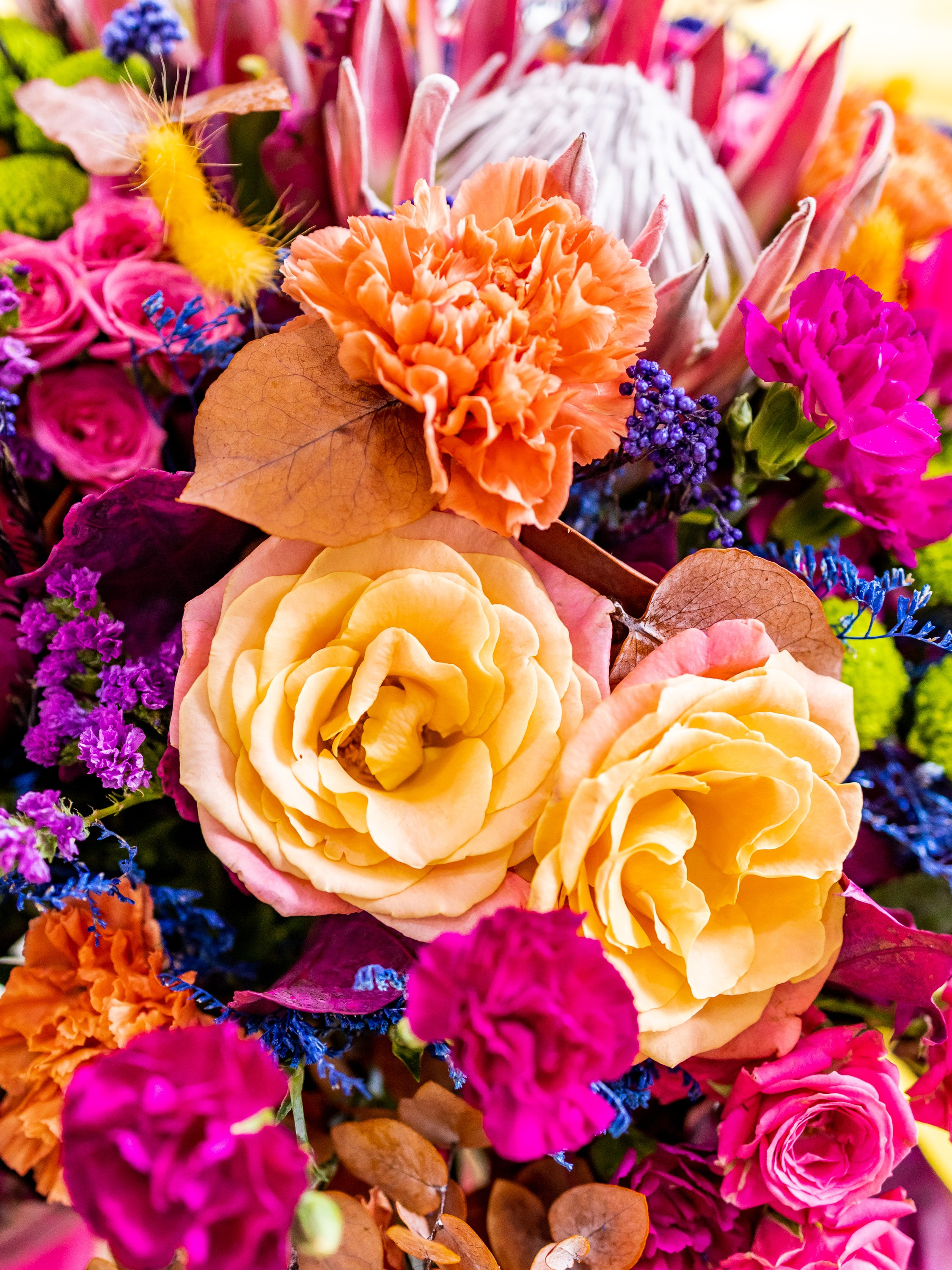 Цветы-Экспо 2024. Фотосессии и репортаж — Фотограф в Москве — Рина Серёгина