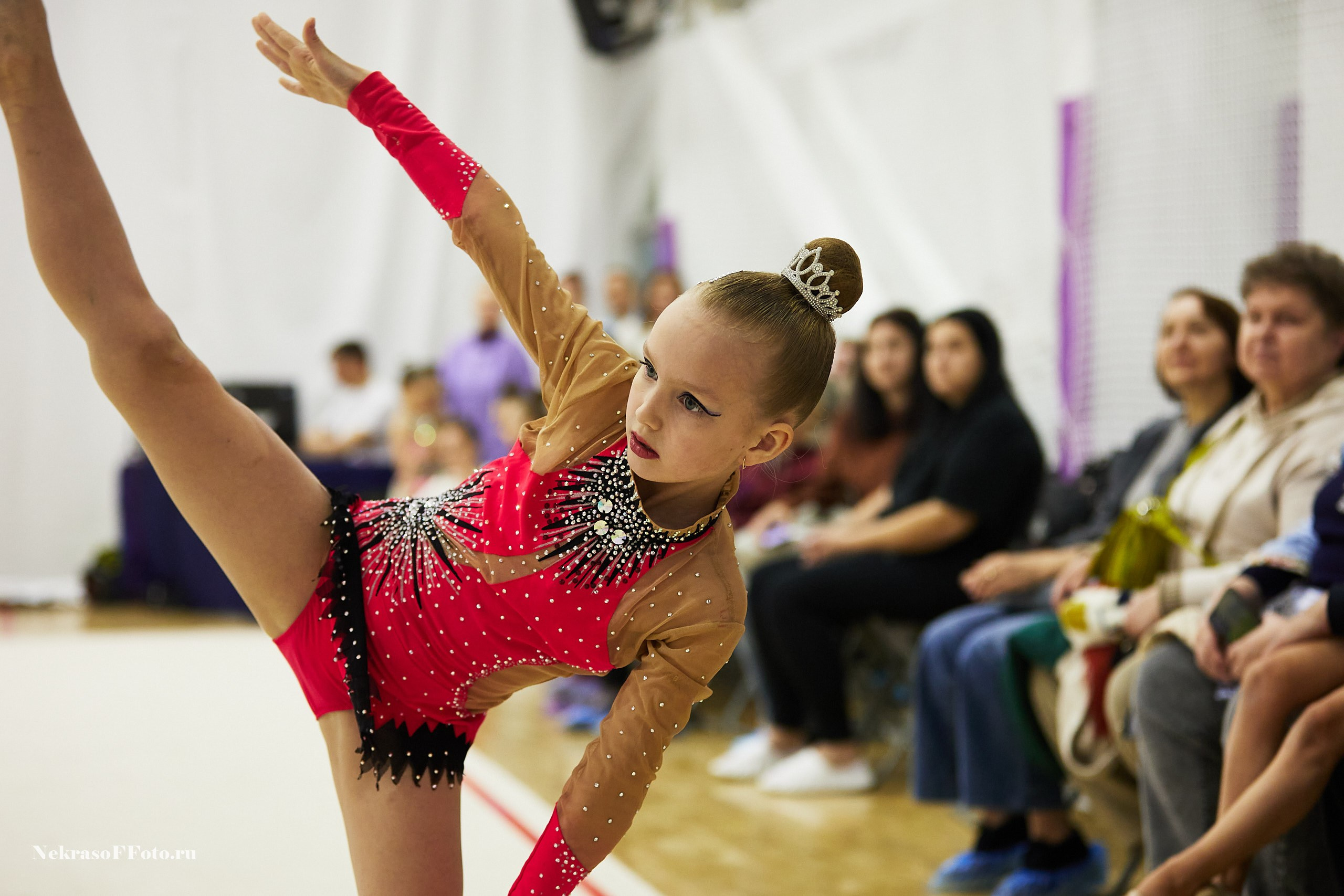 Художественная гимнастика. Спортивный фотограф Некрасов Денис
