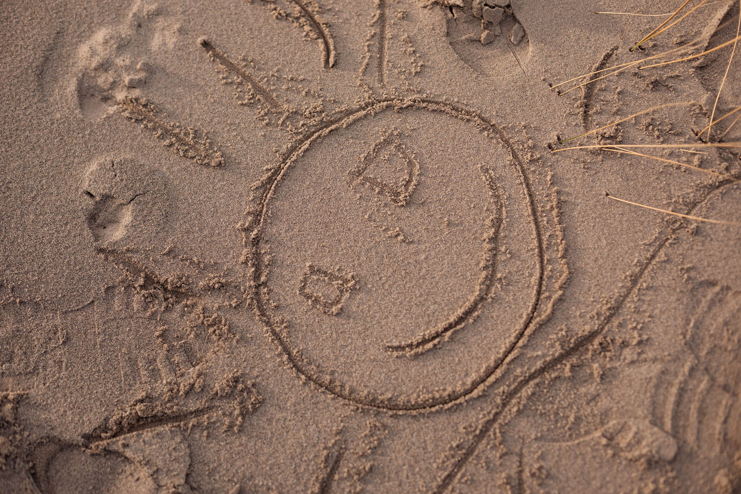 Кристина. Https://malovafoto.ru