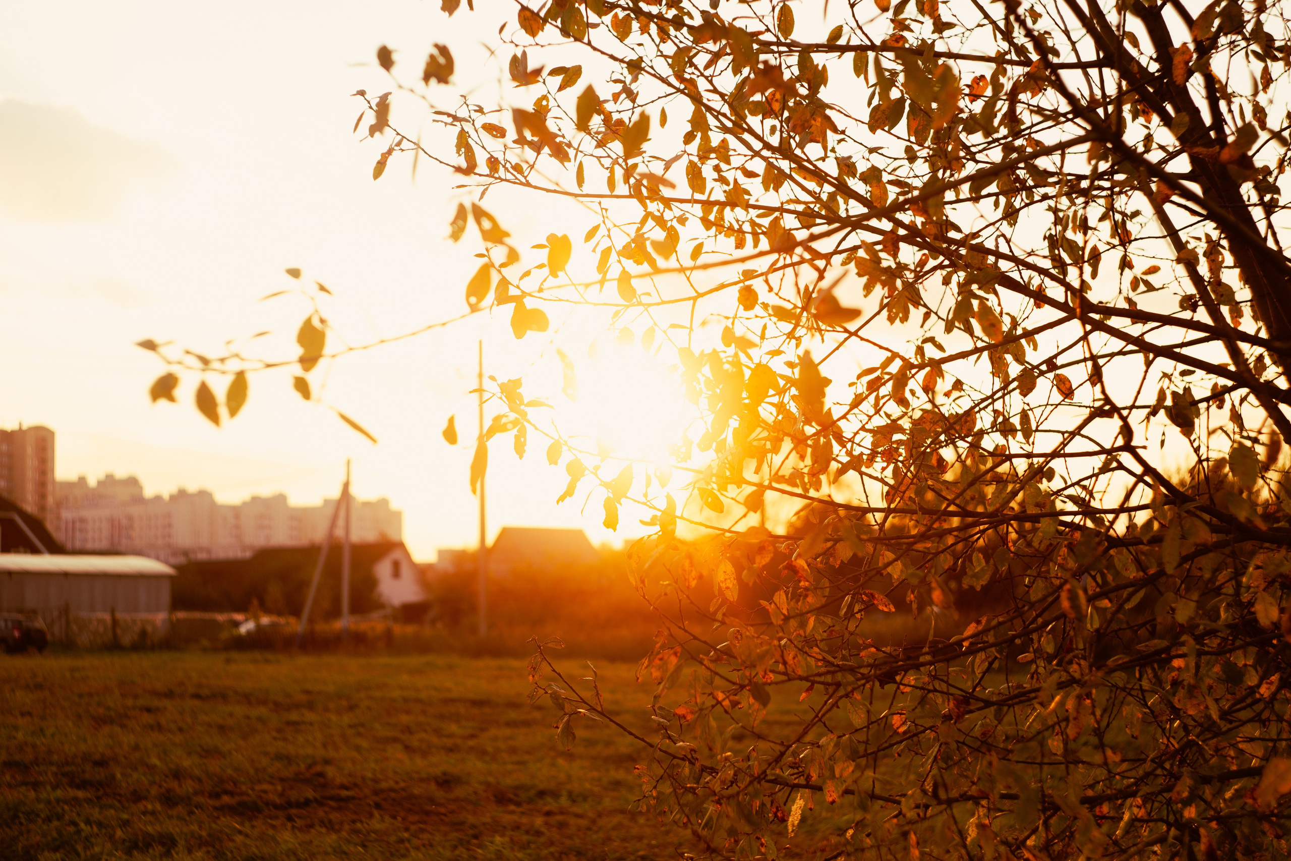Сентябрь 2023. Efremovaphoto.ru