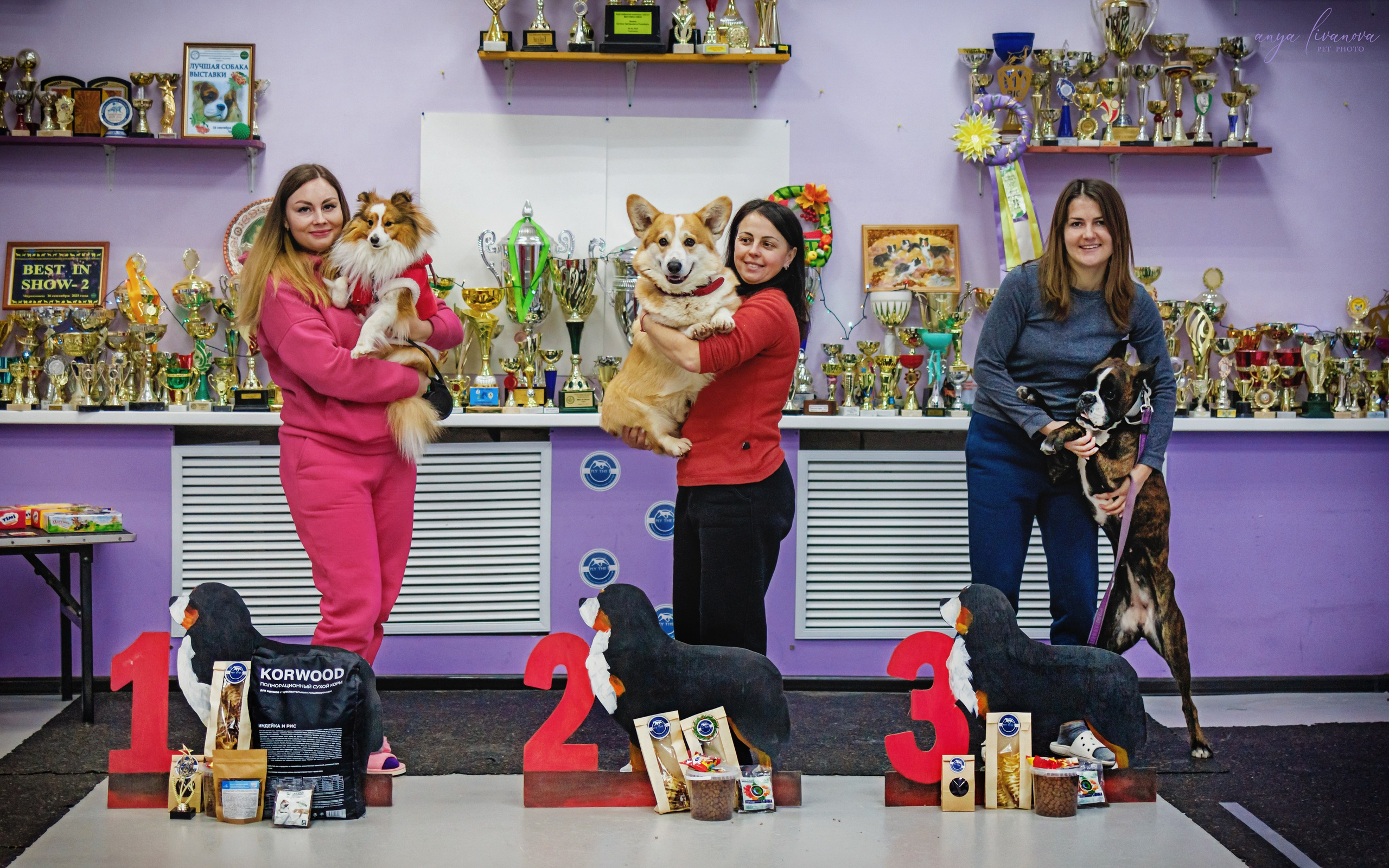 НГ конкурсы в «Simply the Best». Фотограф анималист Аня Ливанова | Рыбинск