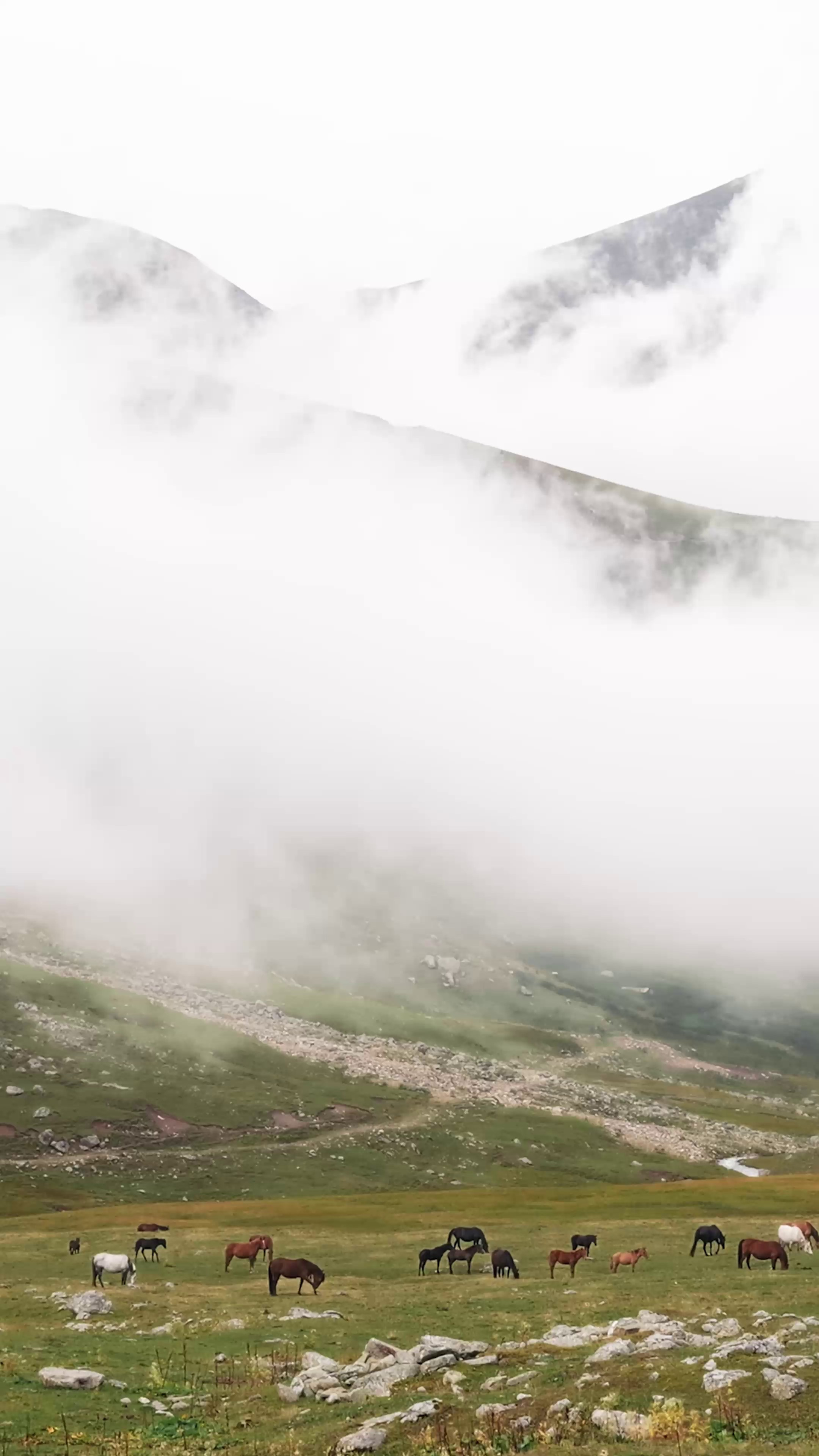 Фильмы о ваших путешествиях. Главная