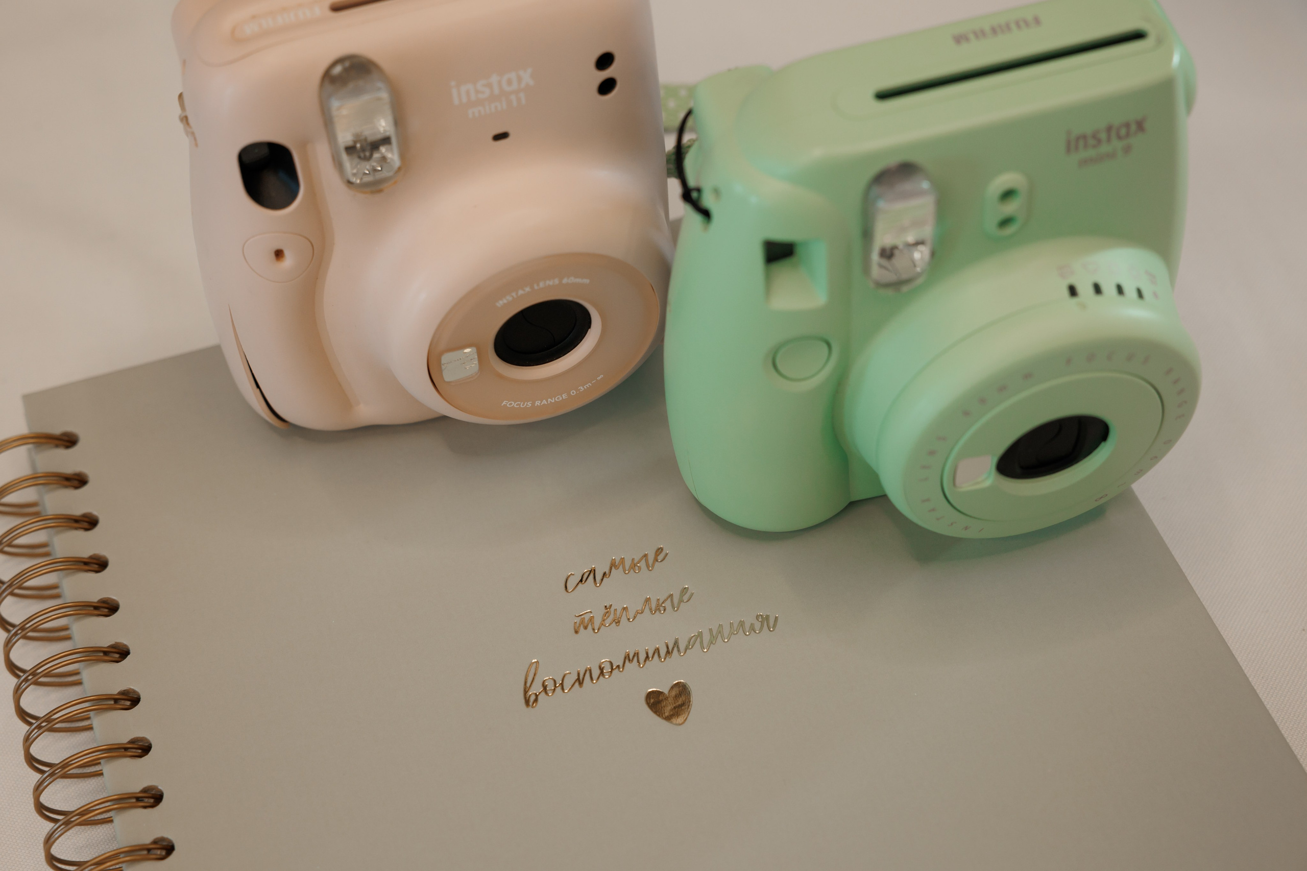 Регистрация в отеле Fish Point, ЗАГС Бутово, прогулка в Остафьево. Свадебный и репортажный фотограф (Москва, Королев и другие)