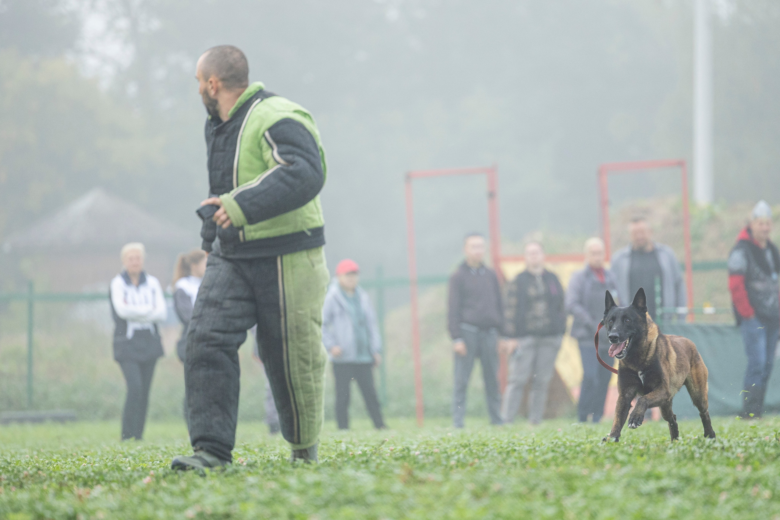 Соревнования по Мондьорингу г. Вологда 10-11.08.2024. Фотограф-анималист Анна Маринич