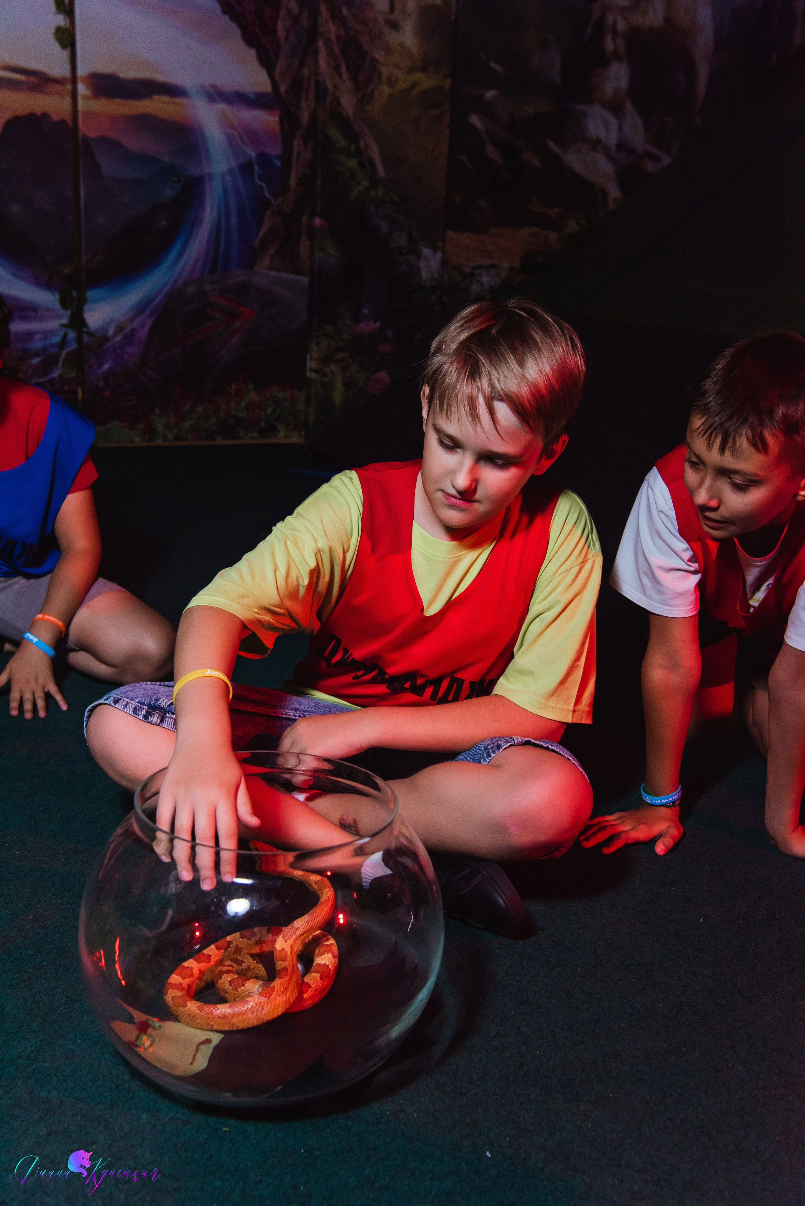 День Рождения Арсения. «Джуманджи Красногорск». Свадебный и арт-фотограф Кунецкая Диана