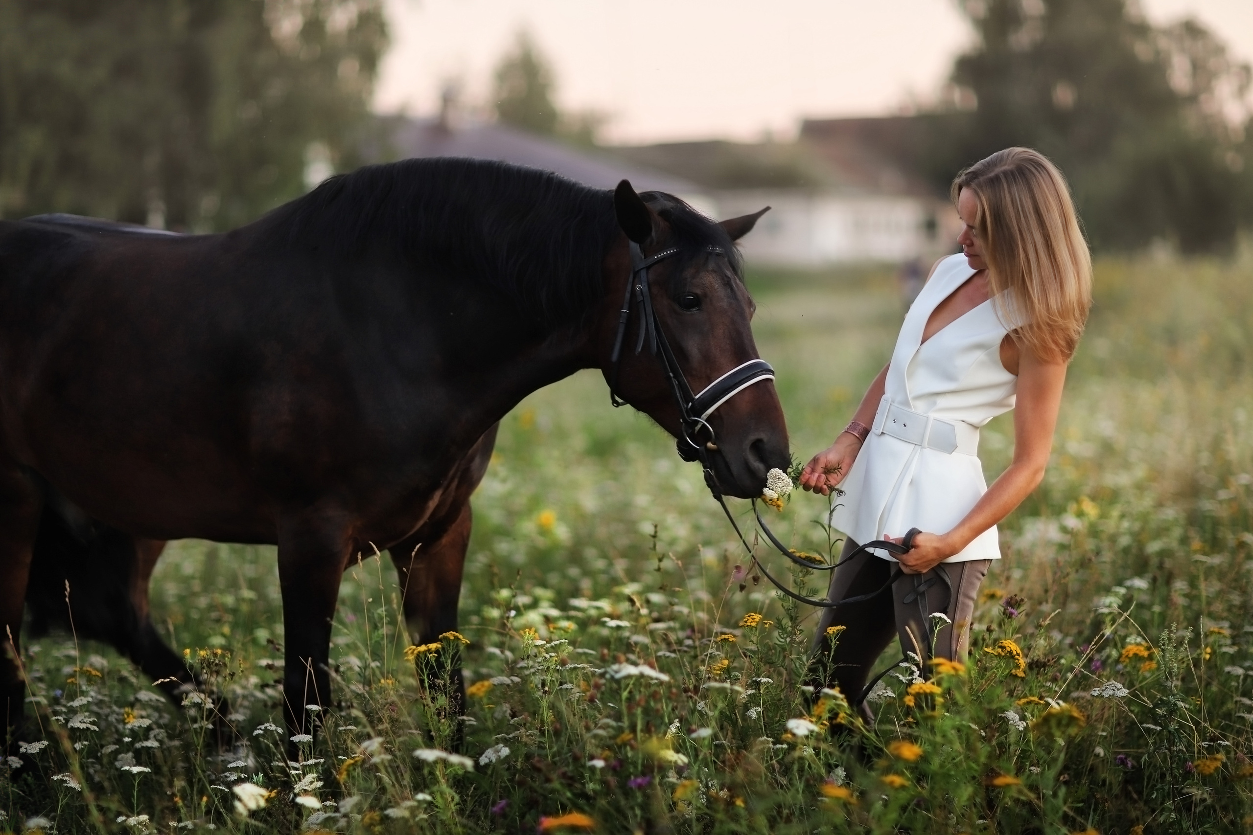 Фотосессии с конем. Семейный, детский и спортивный фотограф в Нижнем Новгороде Шишкина Марина