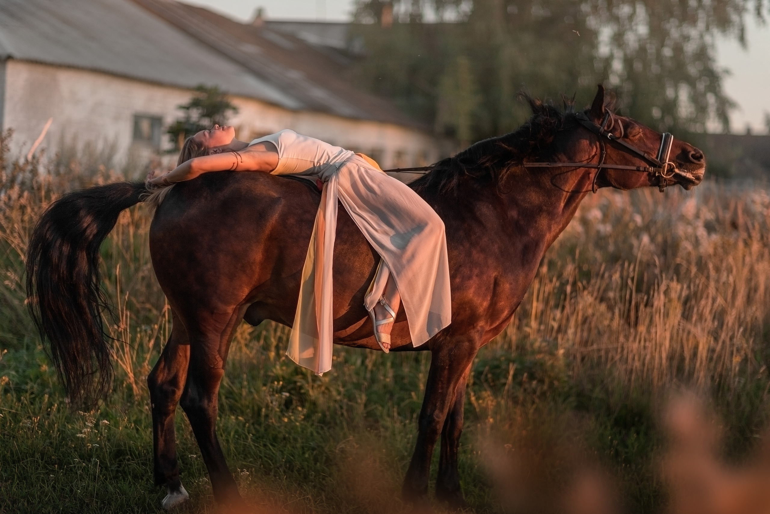 Фотосессии с конем. Семейный, детский и спортивный фотограф в Нижнем Новгороде Шишкина Марина