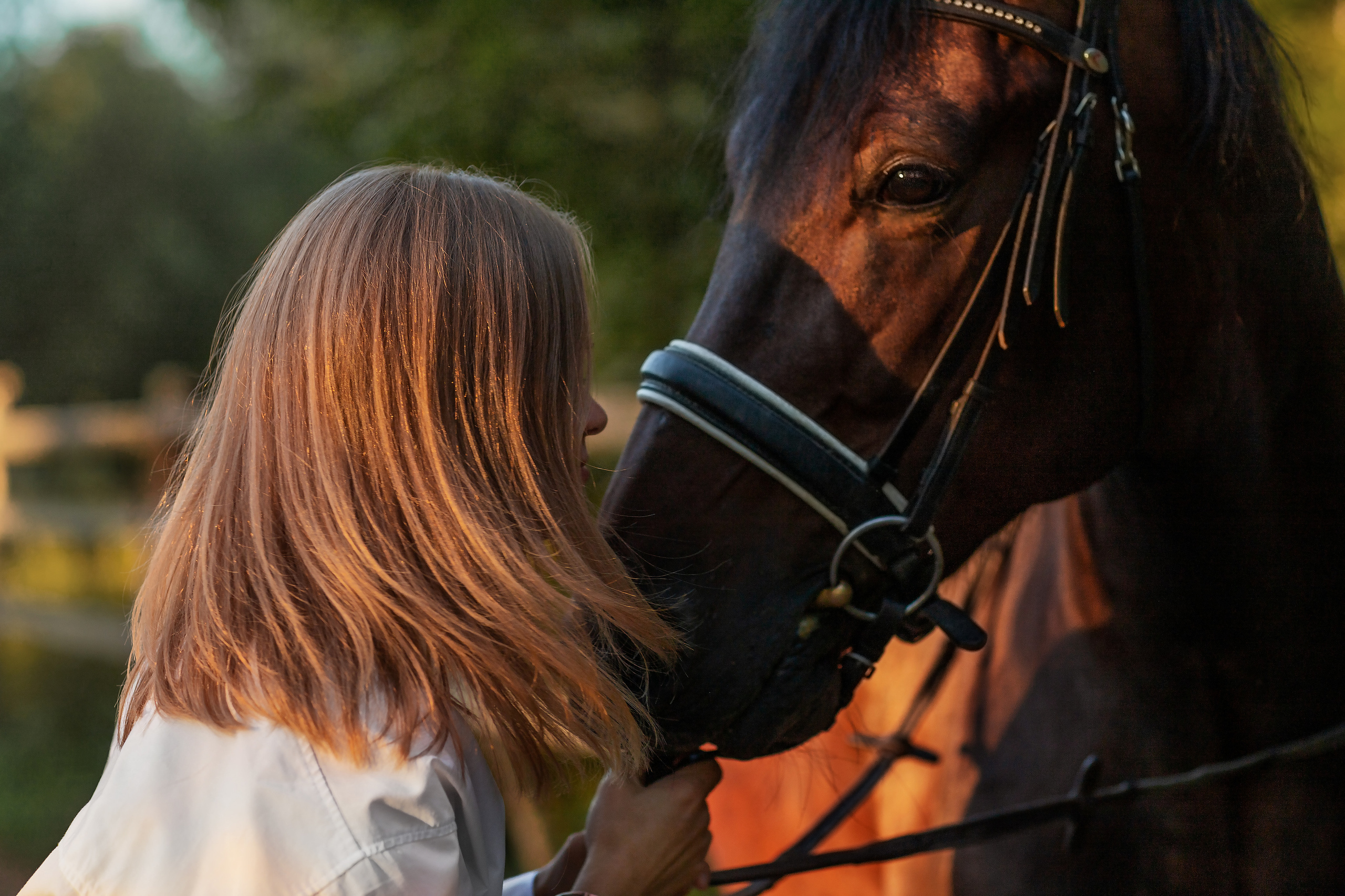 Фотосессии с конем. Семейный, детский и спортивный фотограф в Нижнем Новгороде Шишкина Марина
