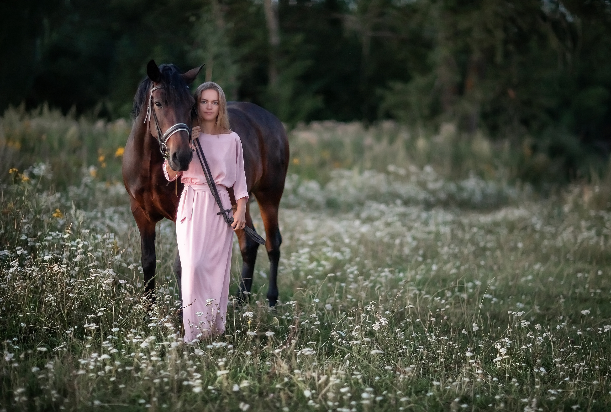 Фотосессии с конем. Семейный, детский и спортивный фотограф в Нижнем Новгороде Шишкина Марина