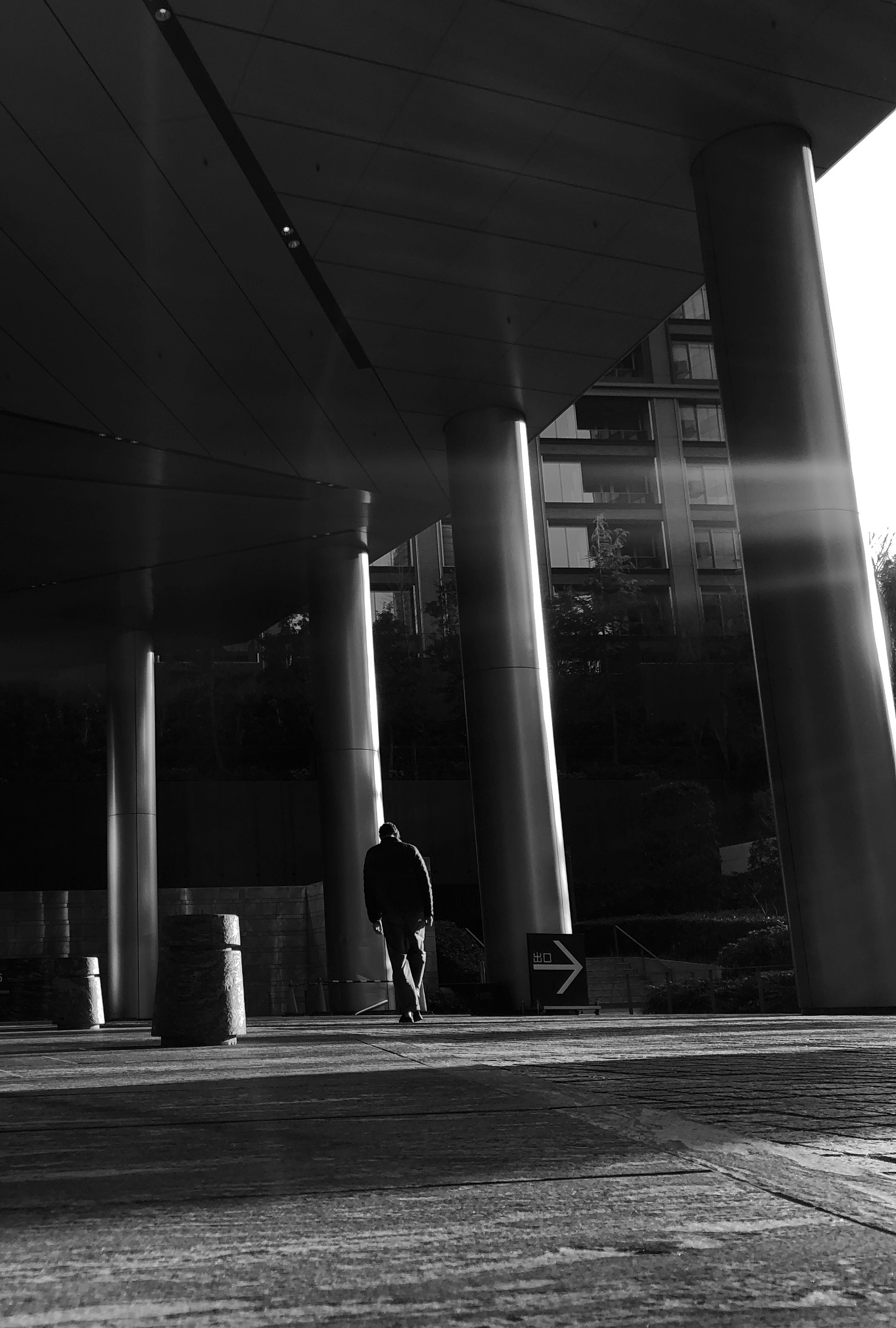 Кисловодск — Токио. Смотри, красота!