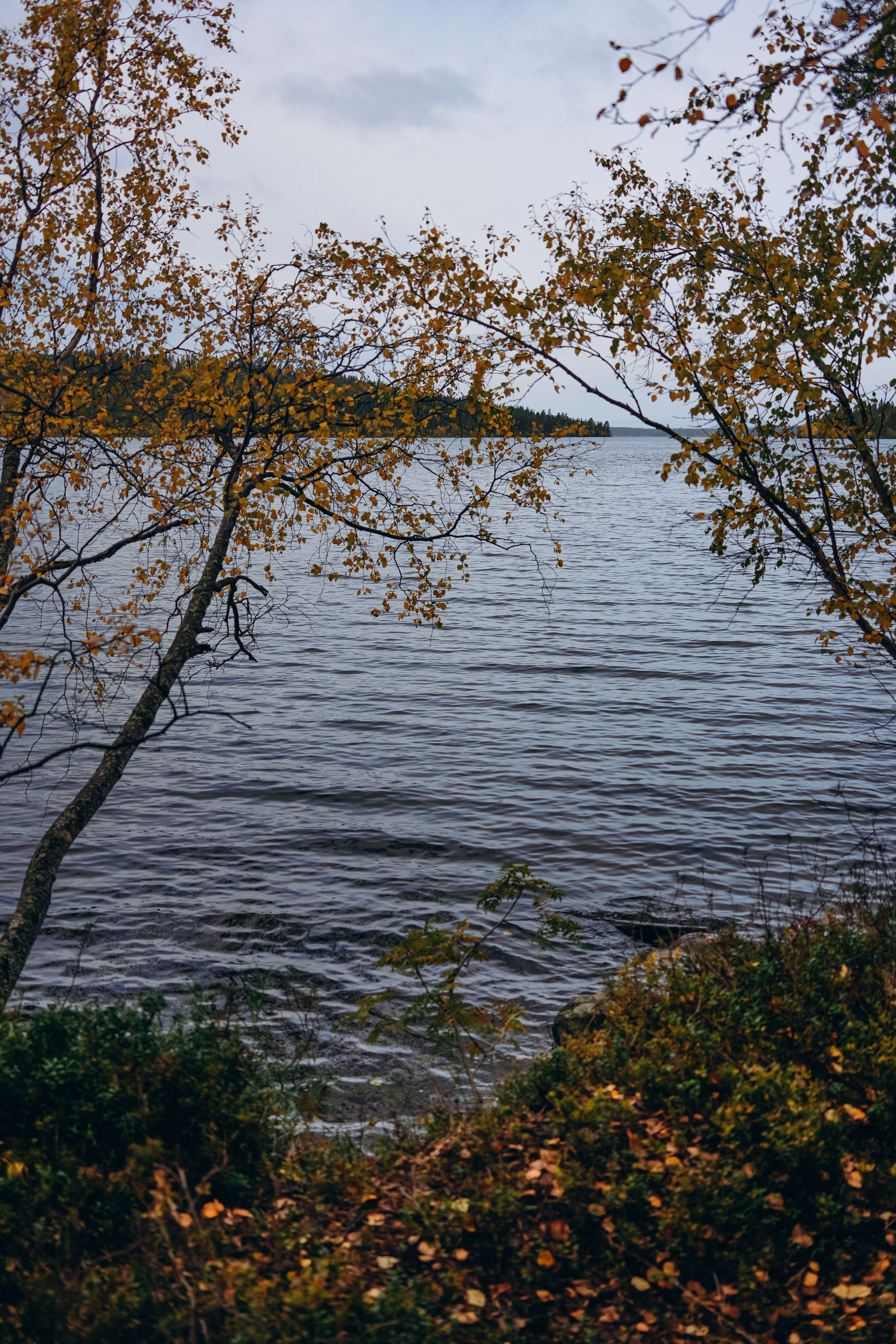 СЕВЕР. Event фотограф Степанова Александра