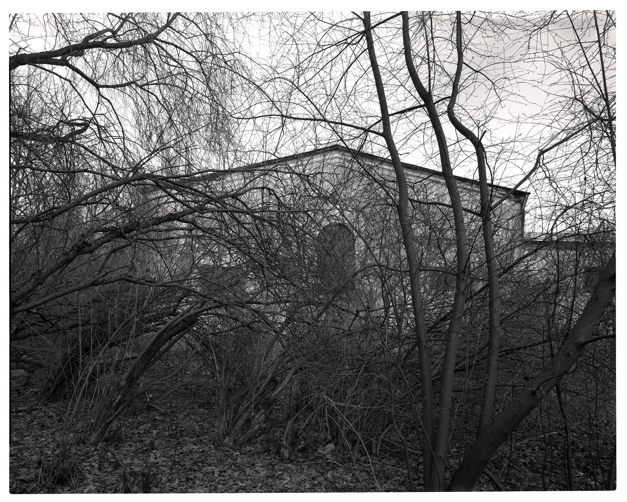 St Petersburg. From "Draw A Little House And A Tree"