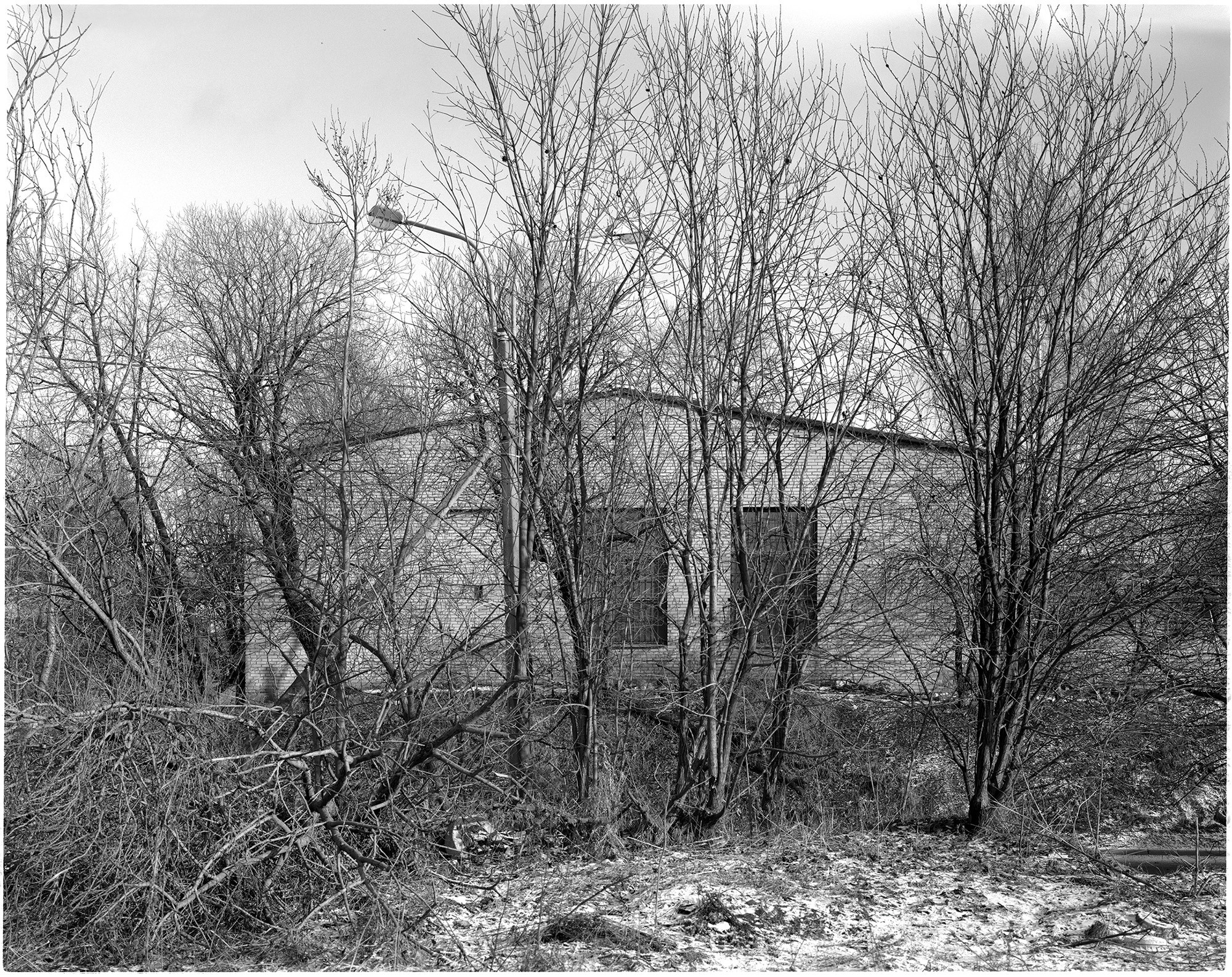 St Petersburg. From "Draw A Little House And A Tree"