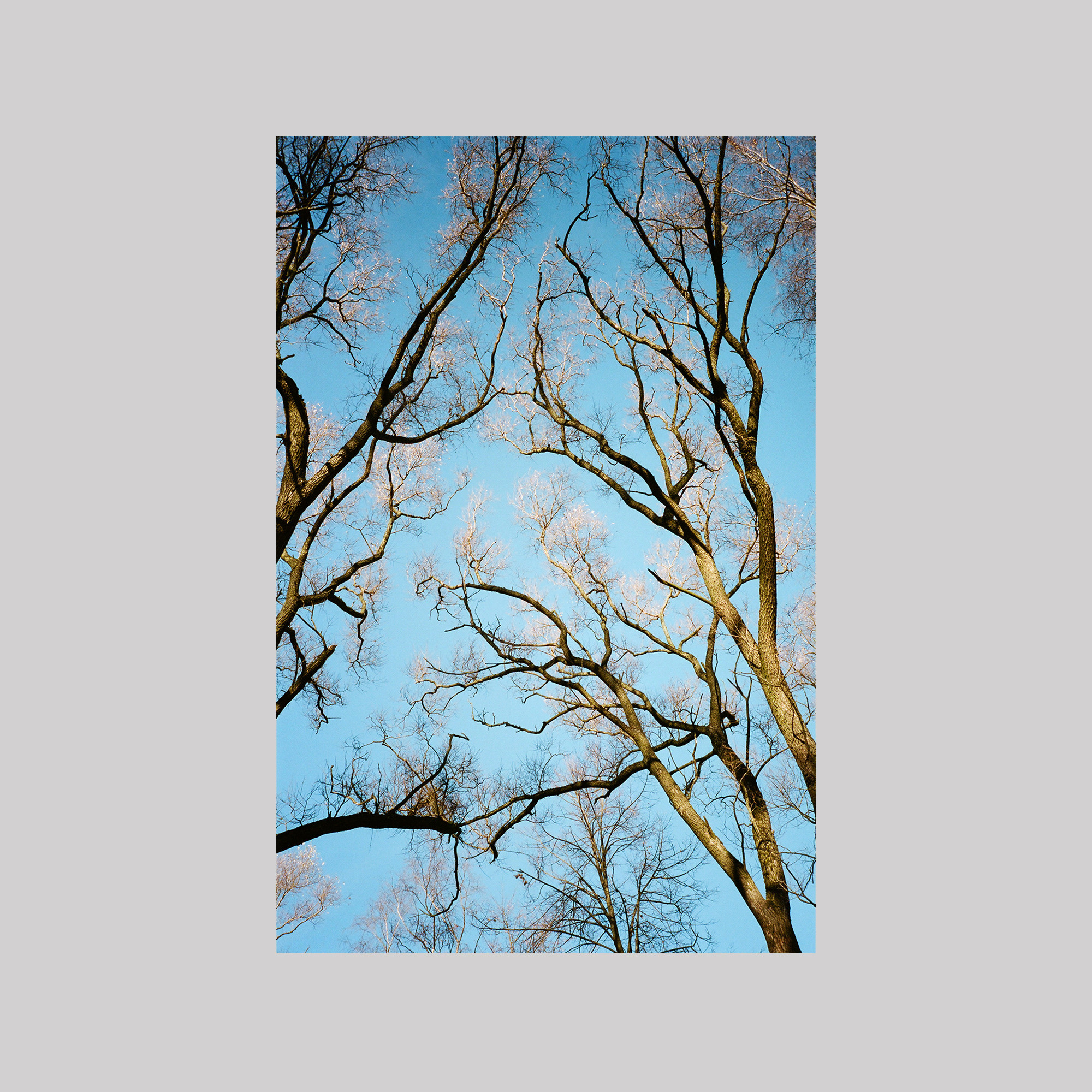 Babushka (St Petersburg)