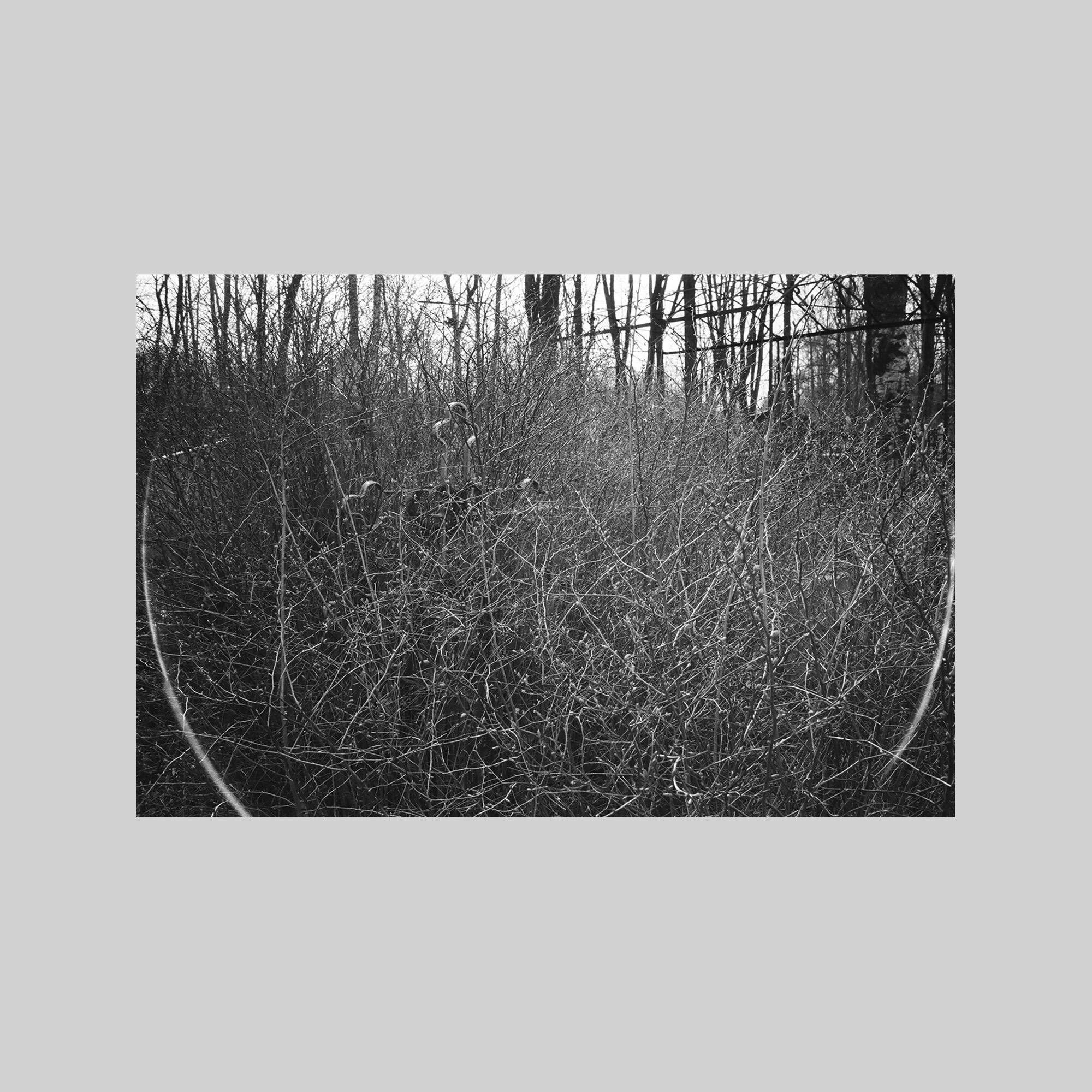 Cross (St Petersburg)