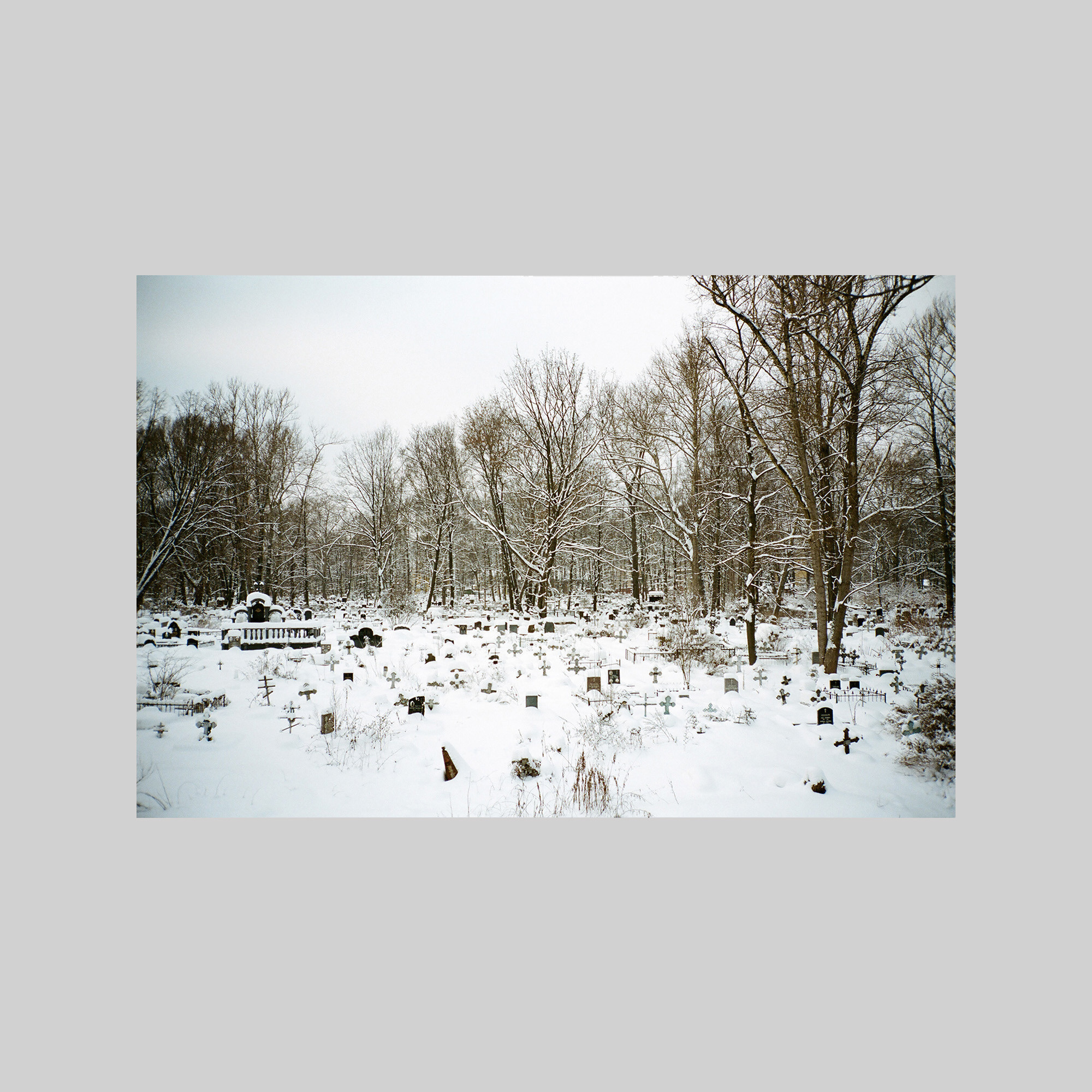 Cemetery (St Petersburg)