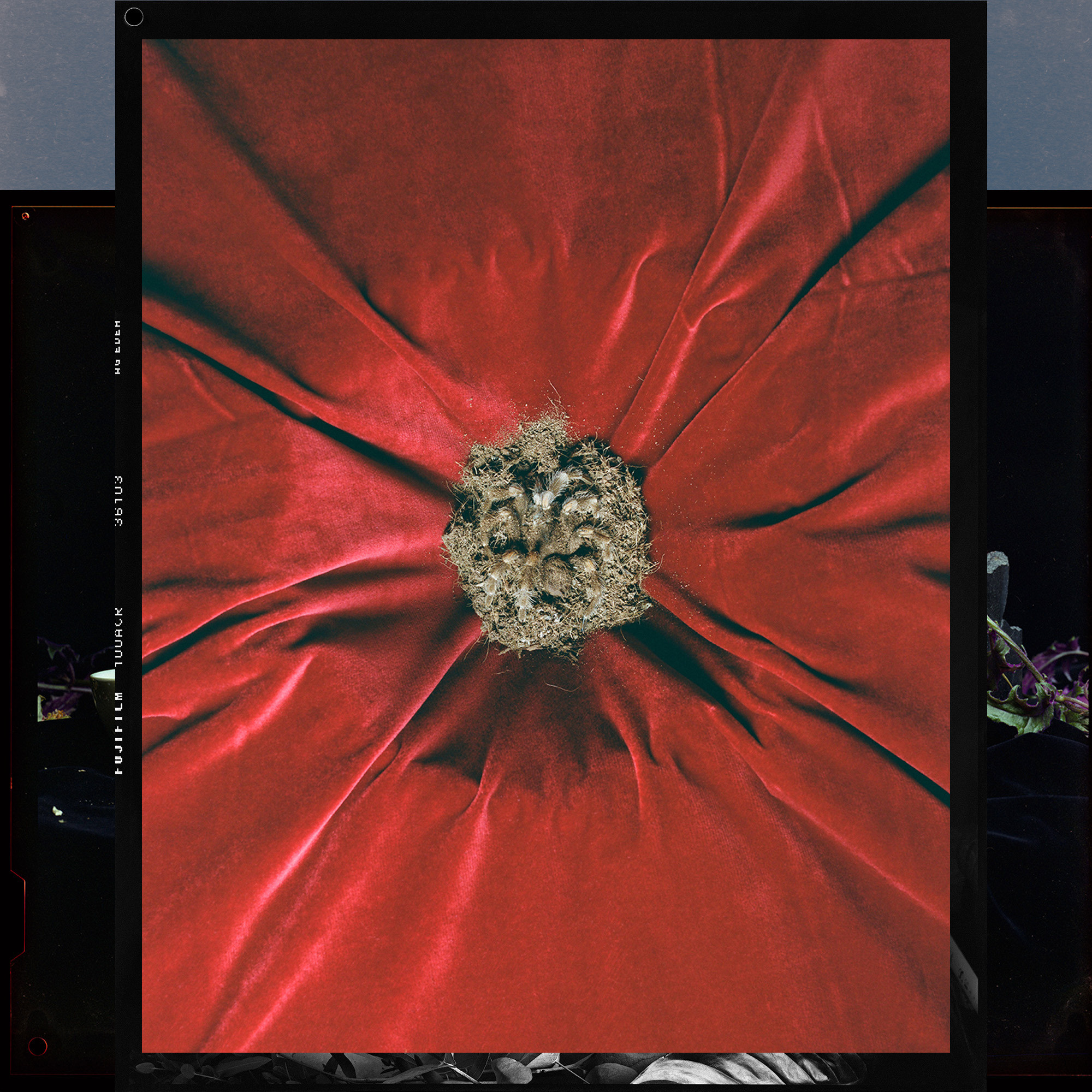 Funeral of Kiki. From "Inner Chamber" project. 2021