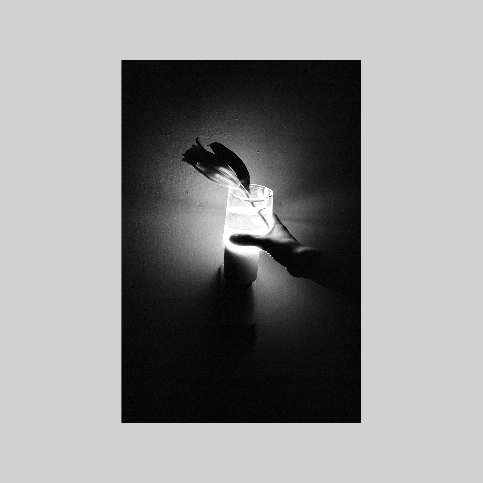 Lilly (St Petersburg)