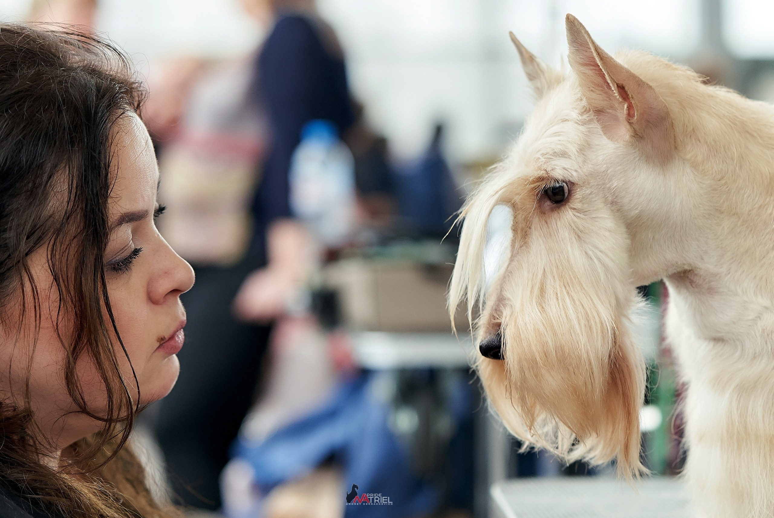 Картинки с выставки — галерея NATRIEL