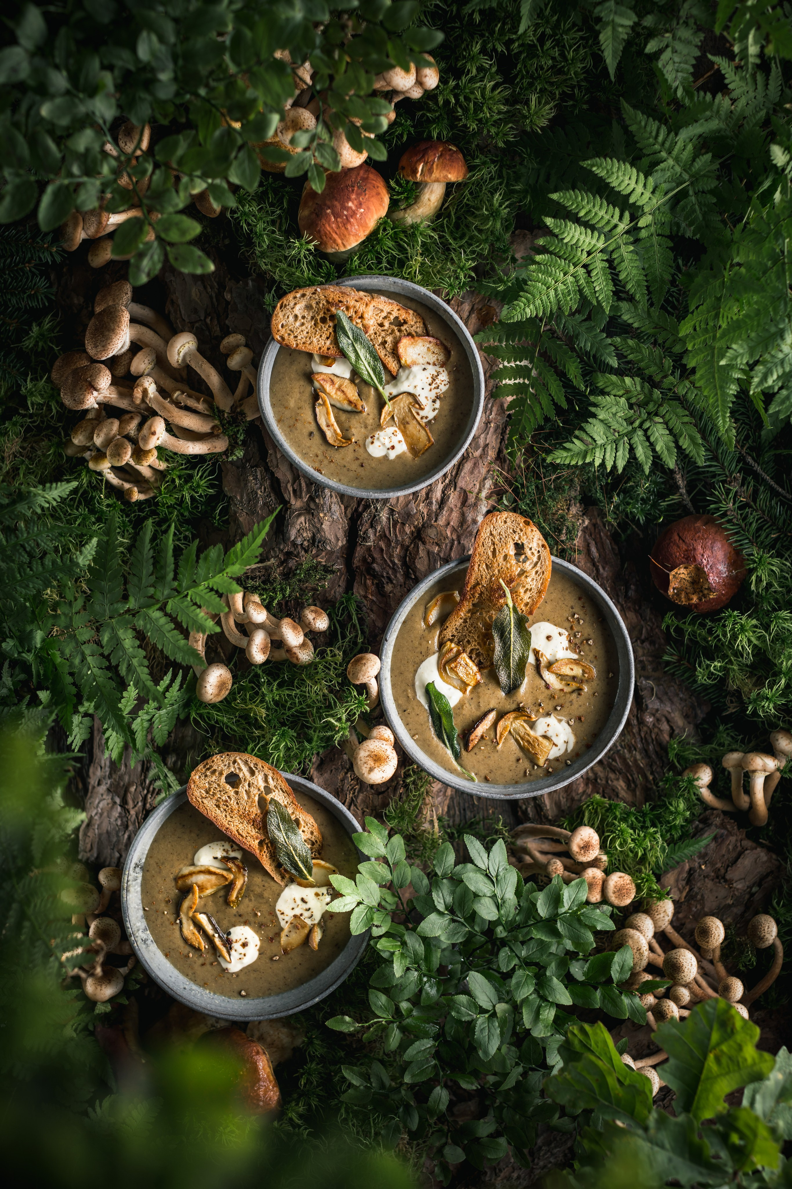 Mushrooms stories. Foodie Stories (гастрономические истории) рекламная фуд-фотосъёмка, Москва