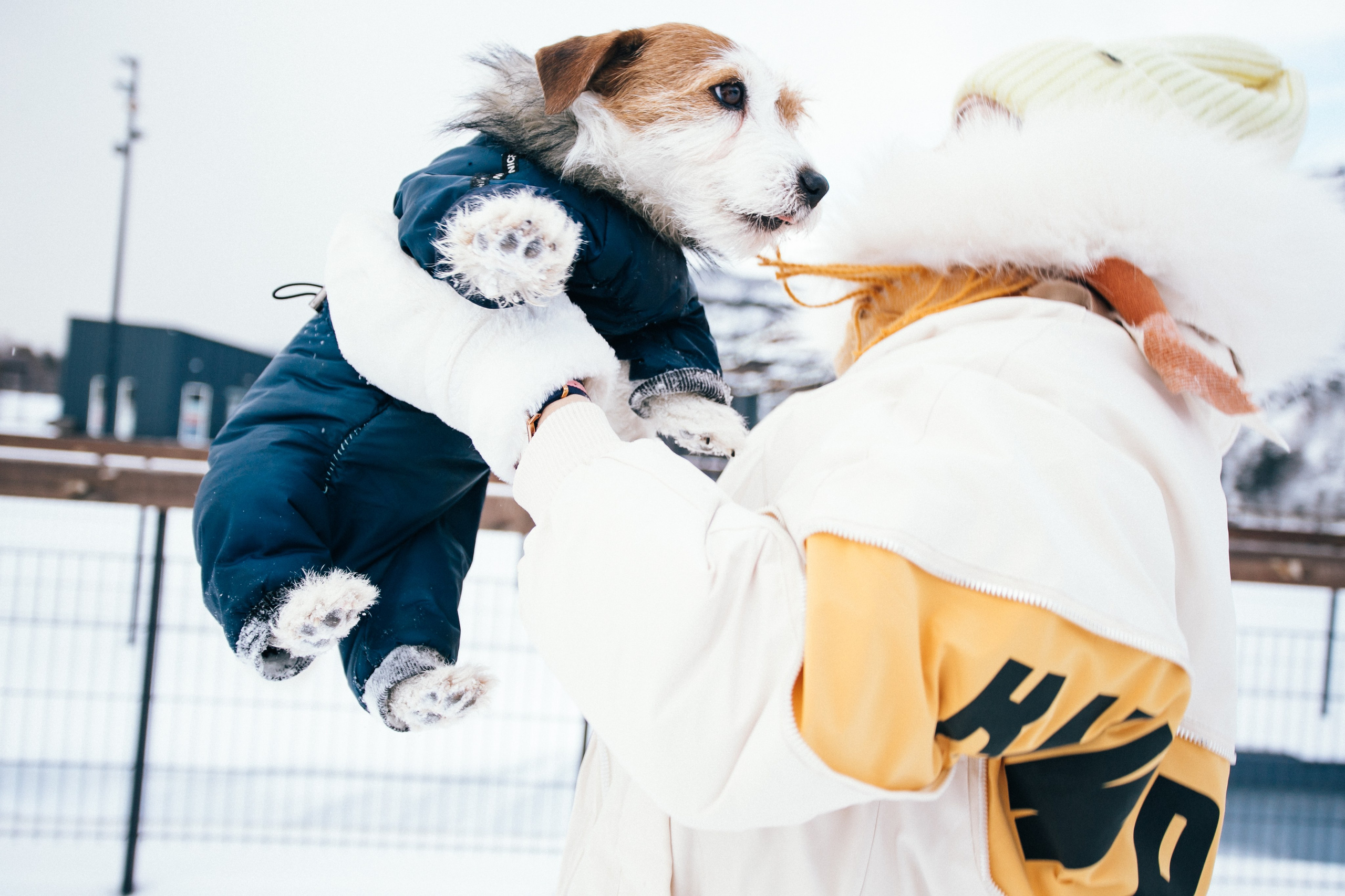 Дарья и Майла. Фотограф Дарья Локотко в Красноярске