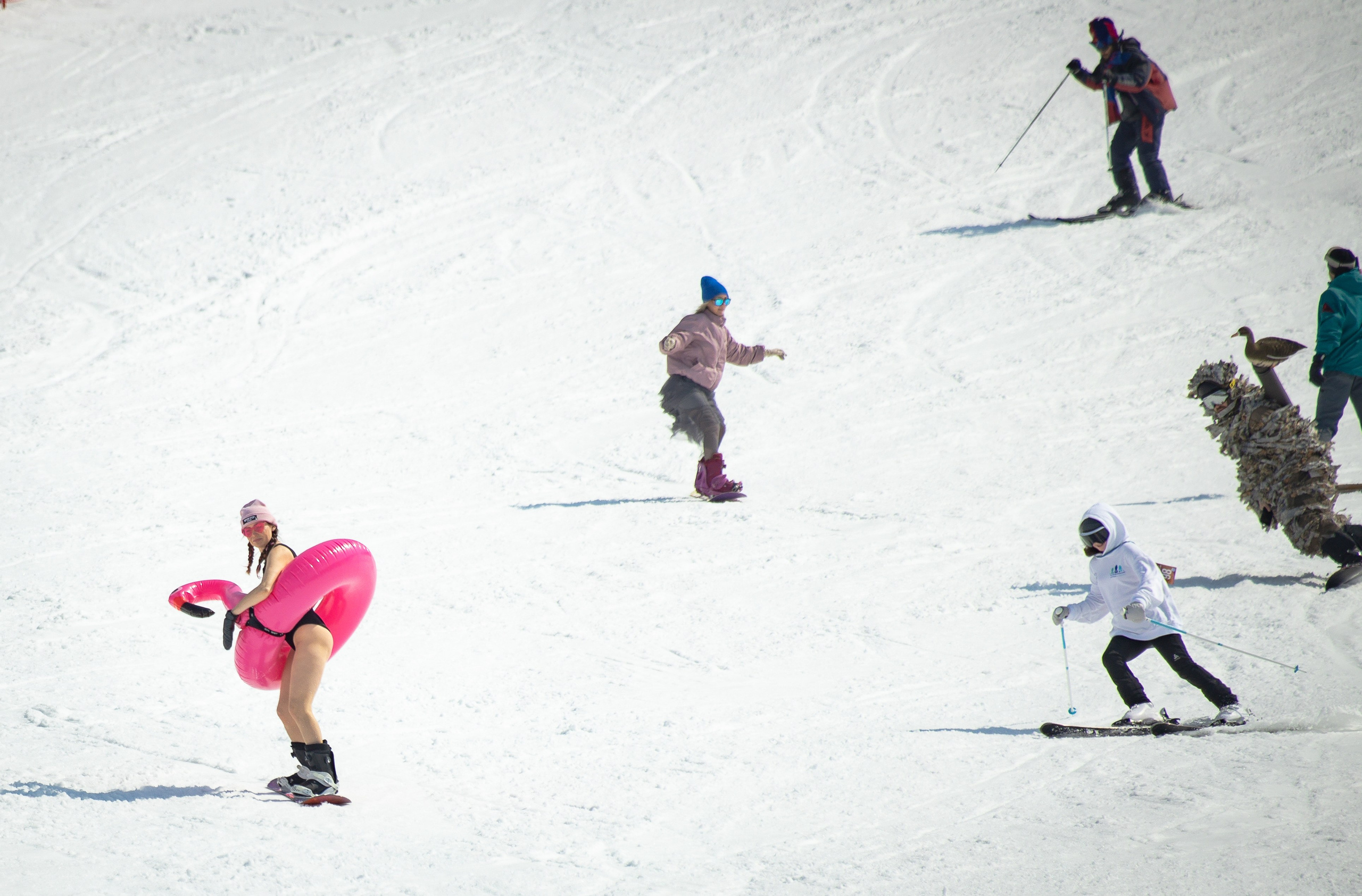 Снежный фестиваль 2025. Фотограф. г. Южно-Сахалинск. Олег Толстов