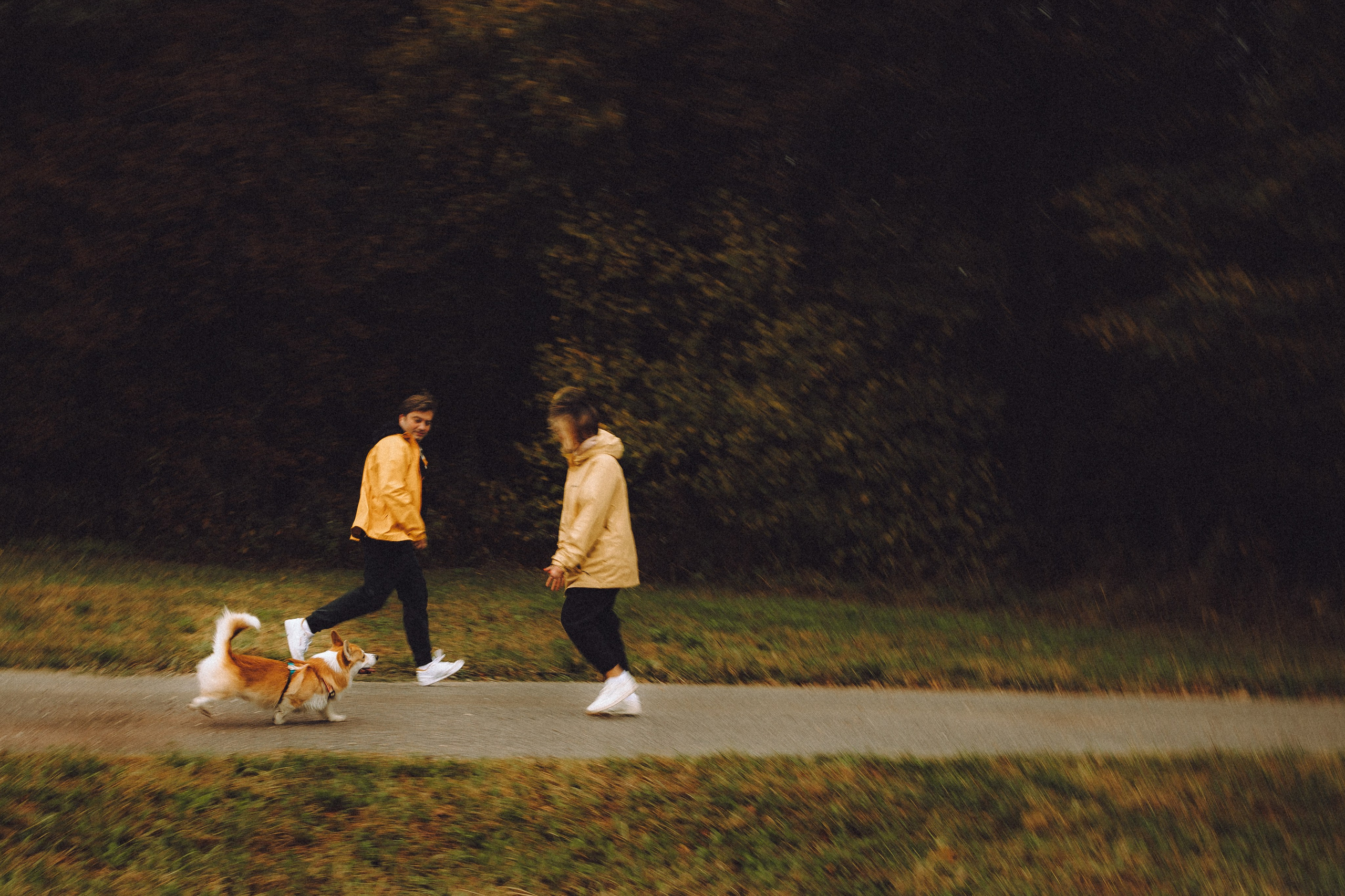 Вирджик и его семья