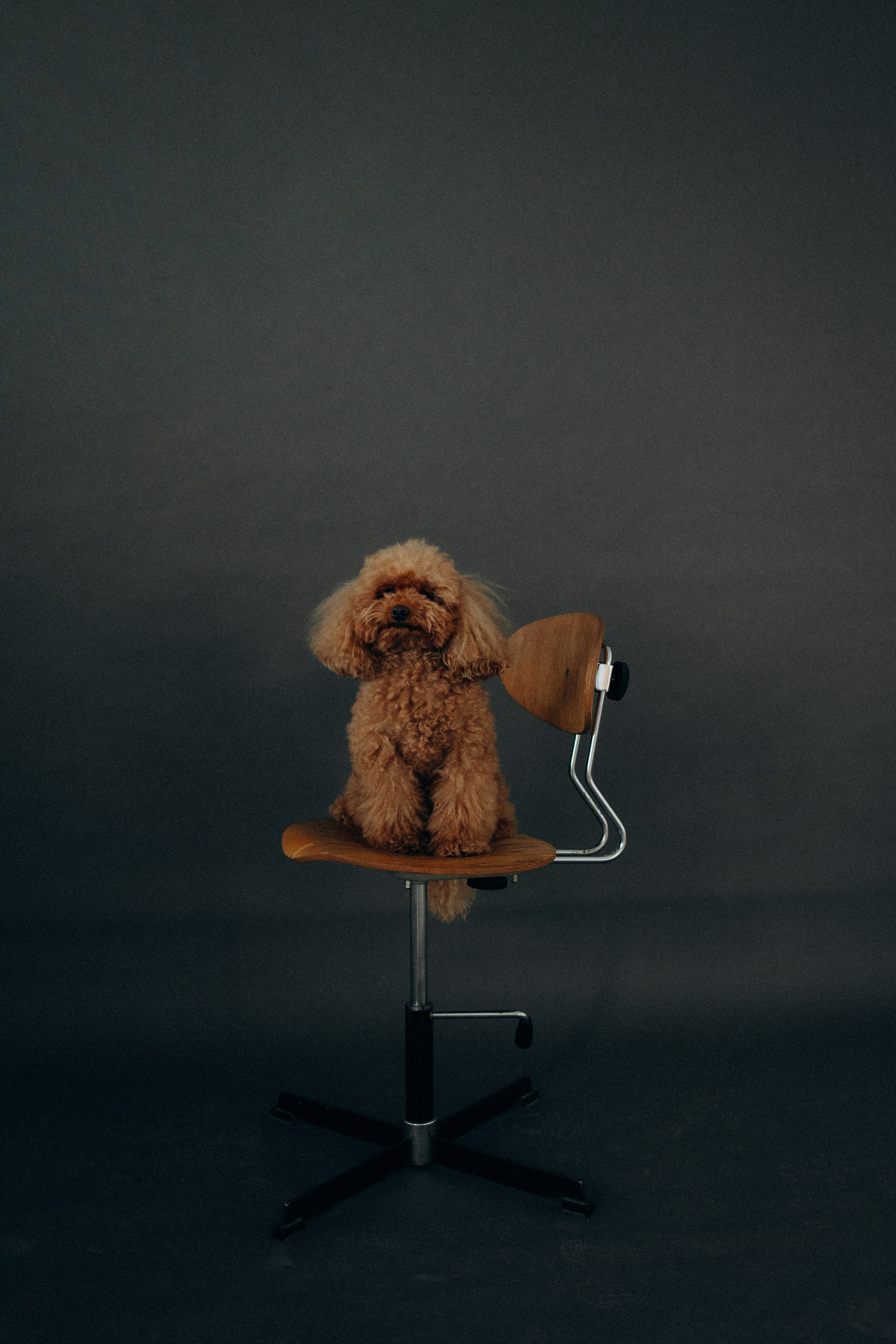 Лилия и Оди. Фотораф — анималист Мария Шистка