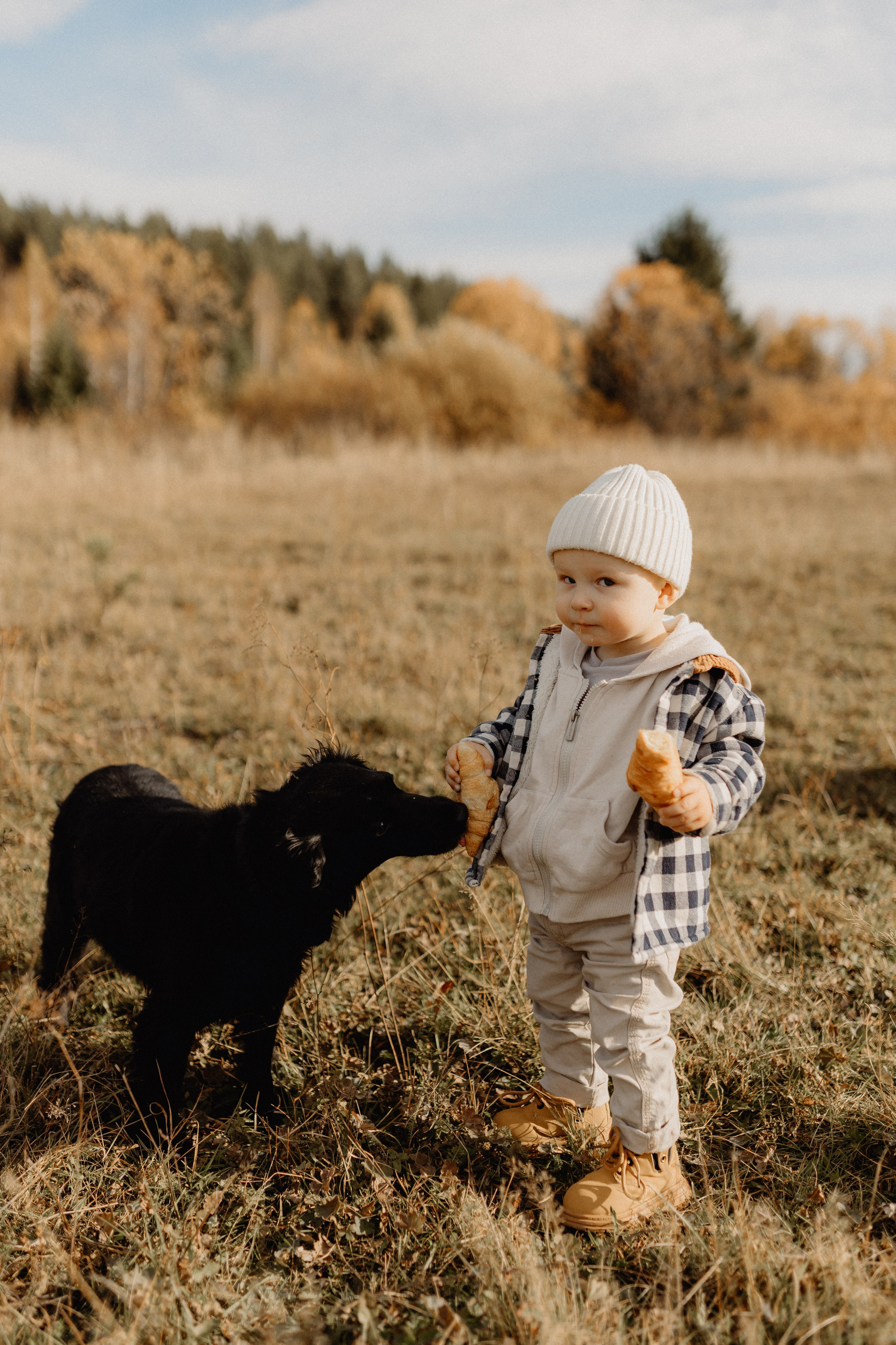 ПАША ЛИЗА ТАРАСИК ПУЛЯ. Главная