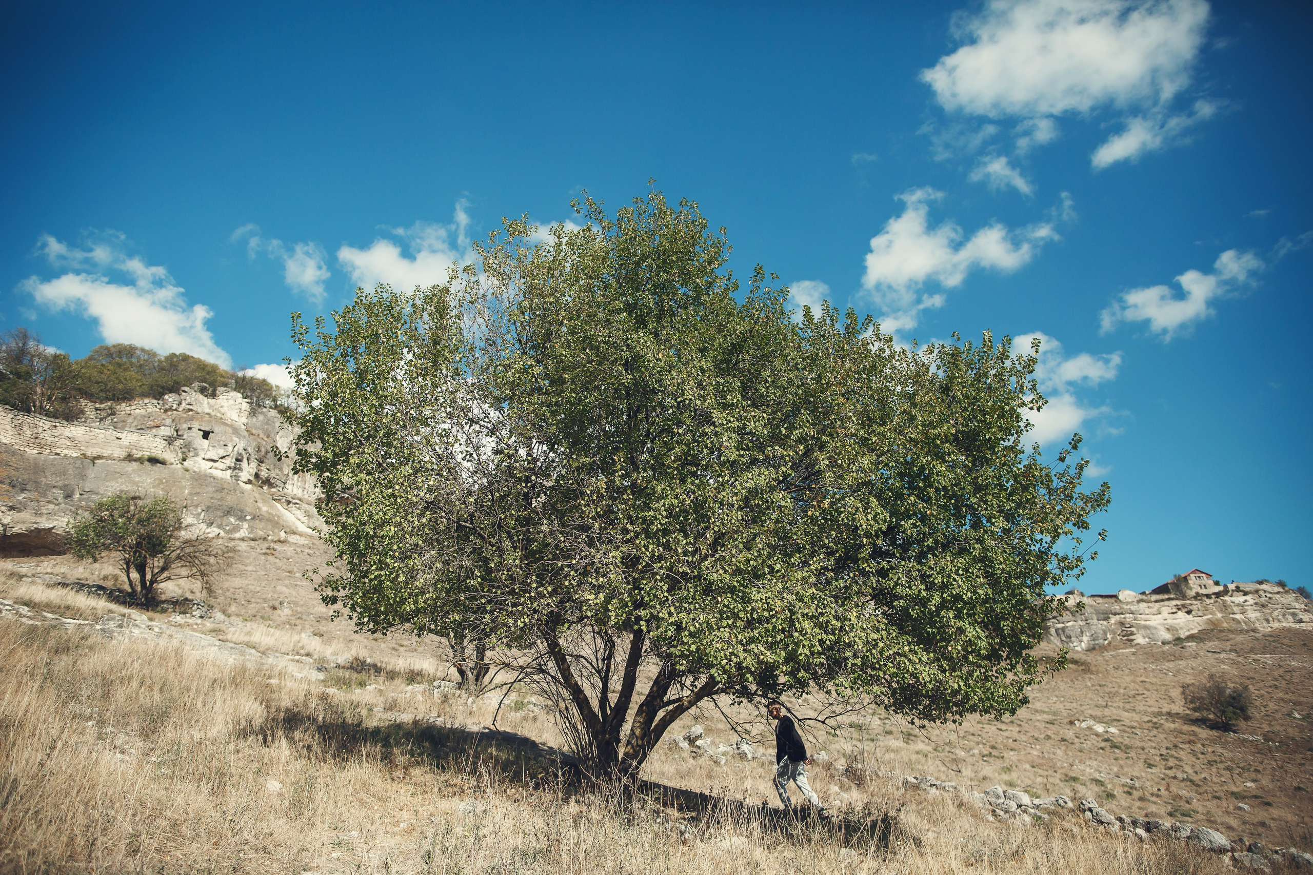 Автор: Артём Богданов