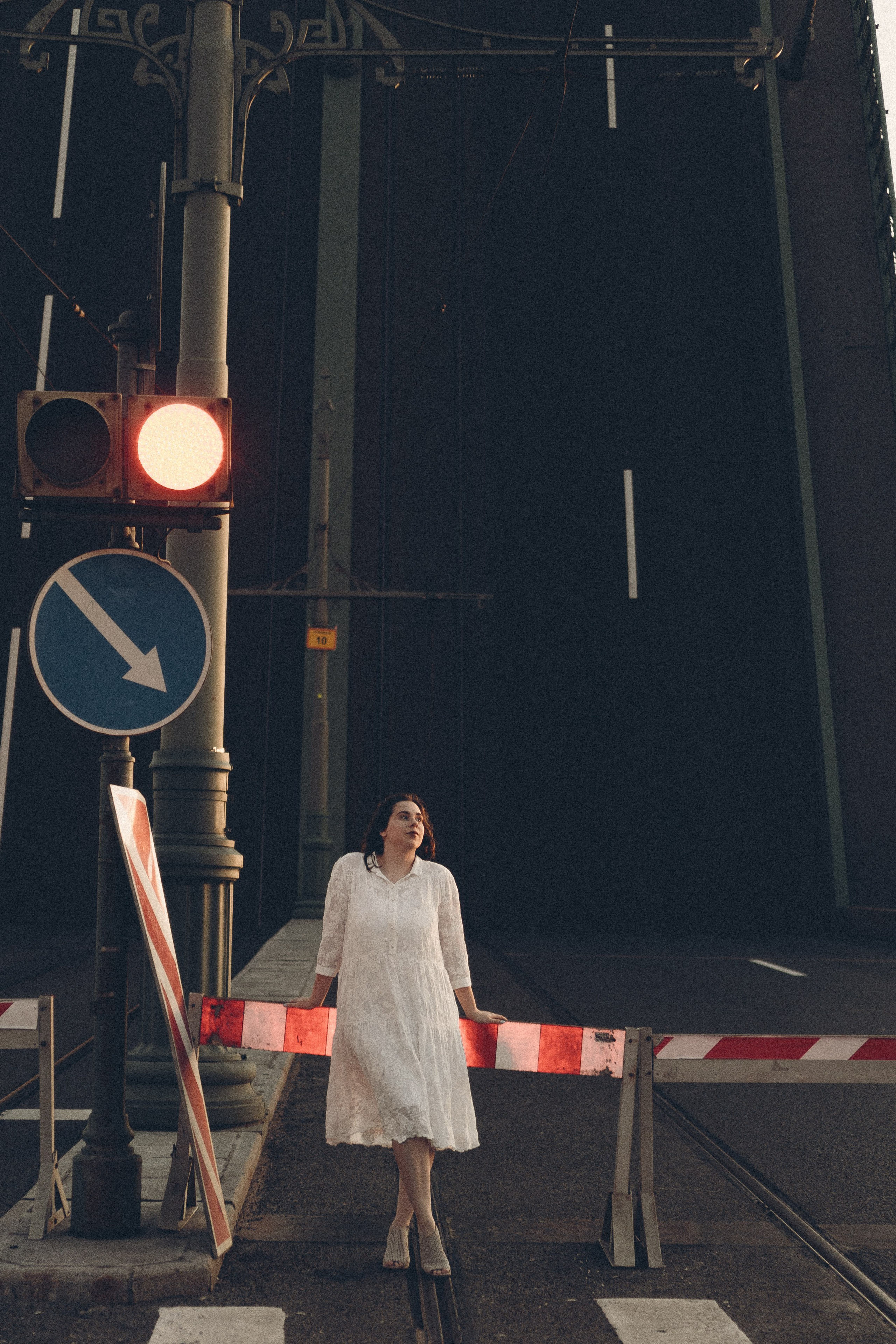 РАССВЕТ С РАЗВОДНЫМИ МОСТАМИ. Профессиональный фотограф, Санкт-Петербург — Виктория Богомолова